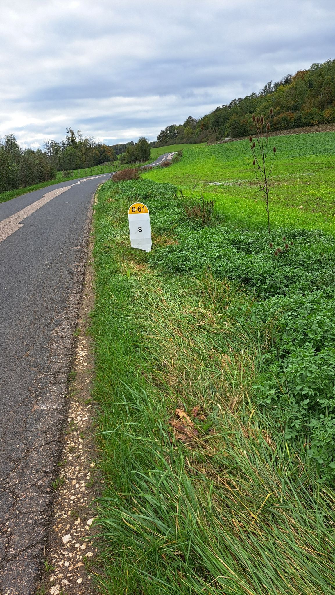 La côte menant à Benney