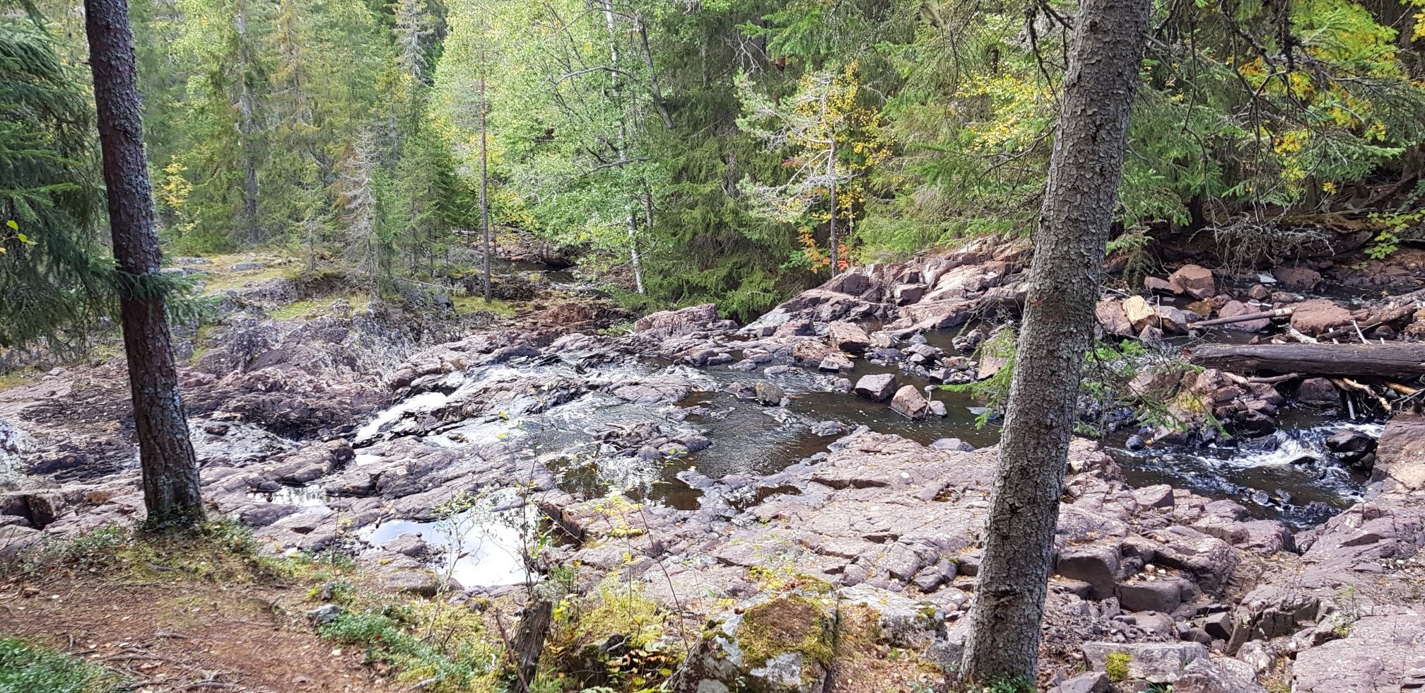 Blick von oben auf den Wasserfall