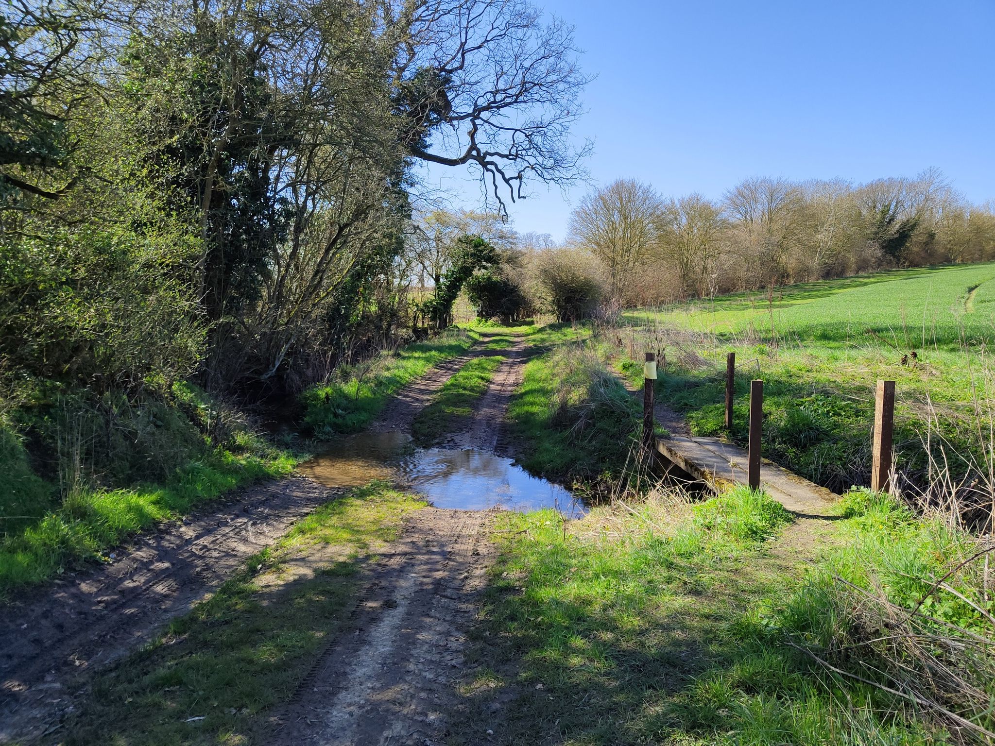A nice ford, with a footbridge I didn't notice until after I'd ploughed through the water