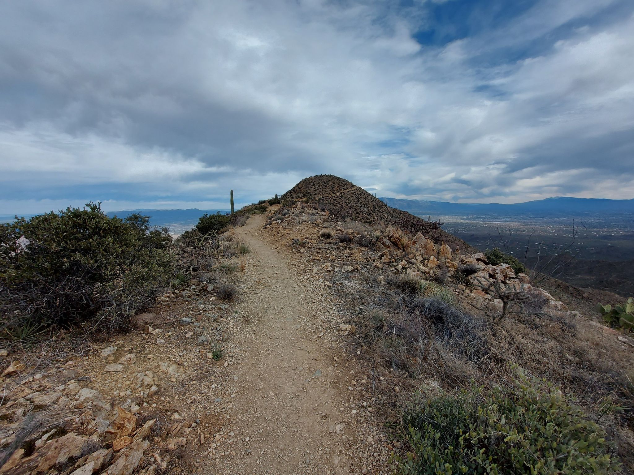 A narrow dirt trail climbs a rocky desert hill under a cloudy sky. - Wasson Peak via Sendero Esperanza and Hugh Norris Trail