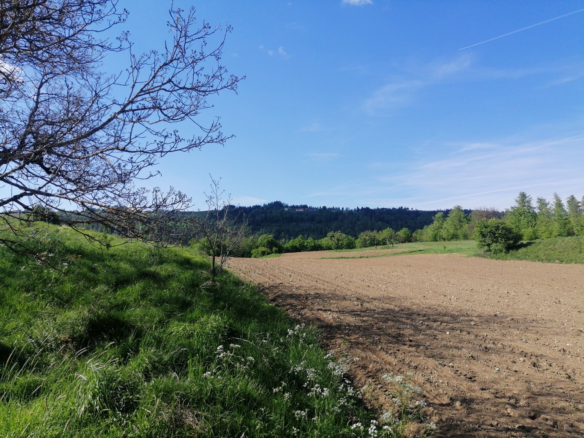 Plöschenberg