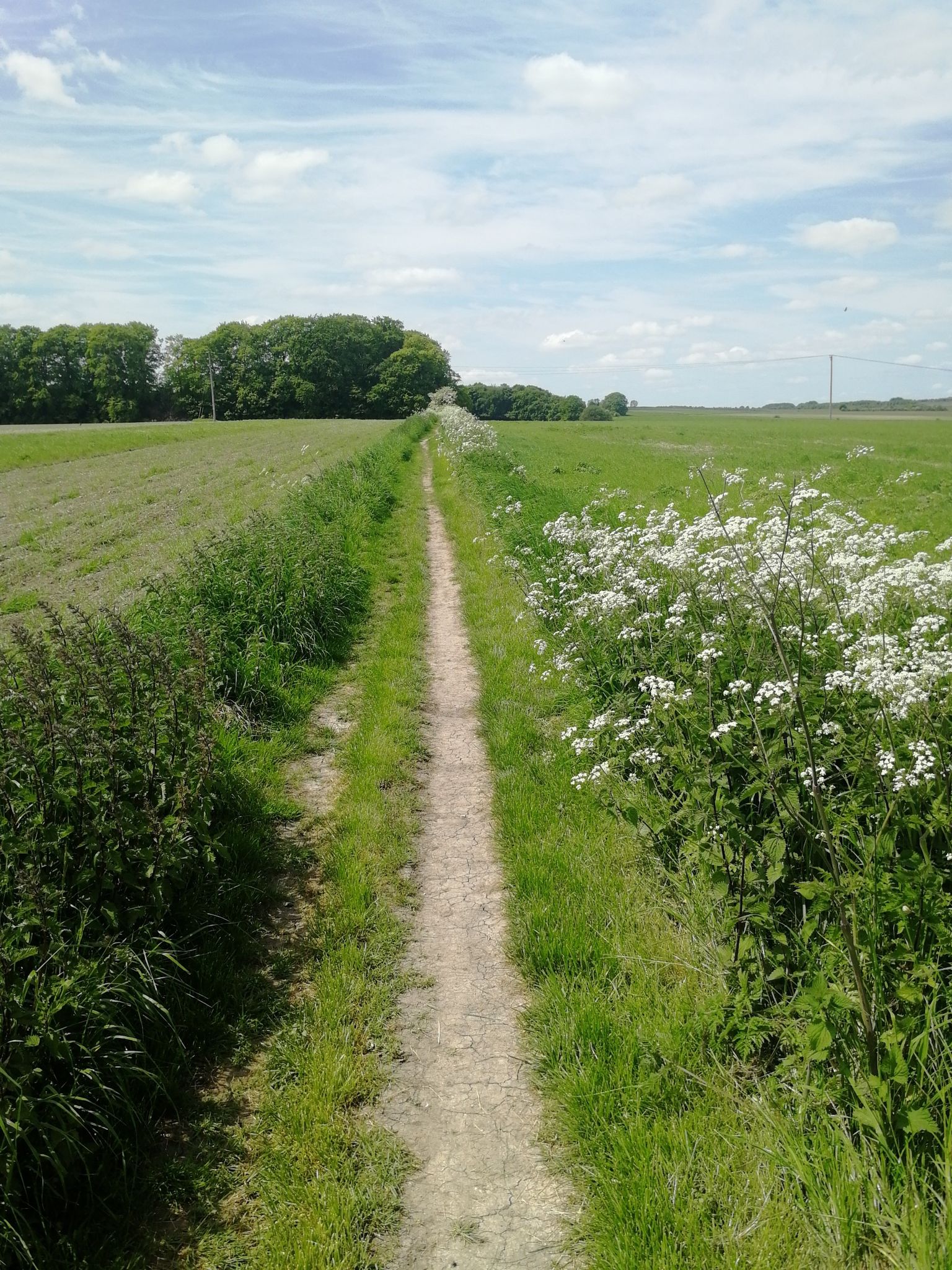 bridleway