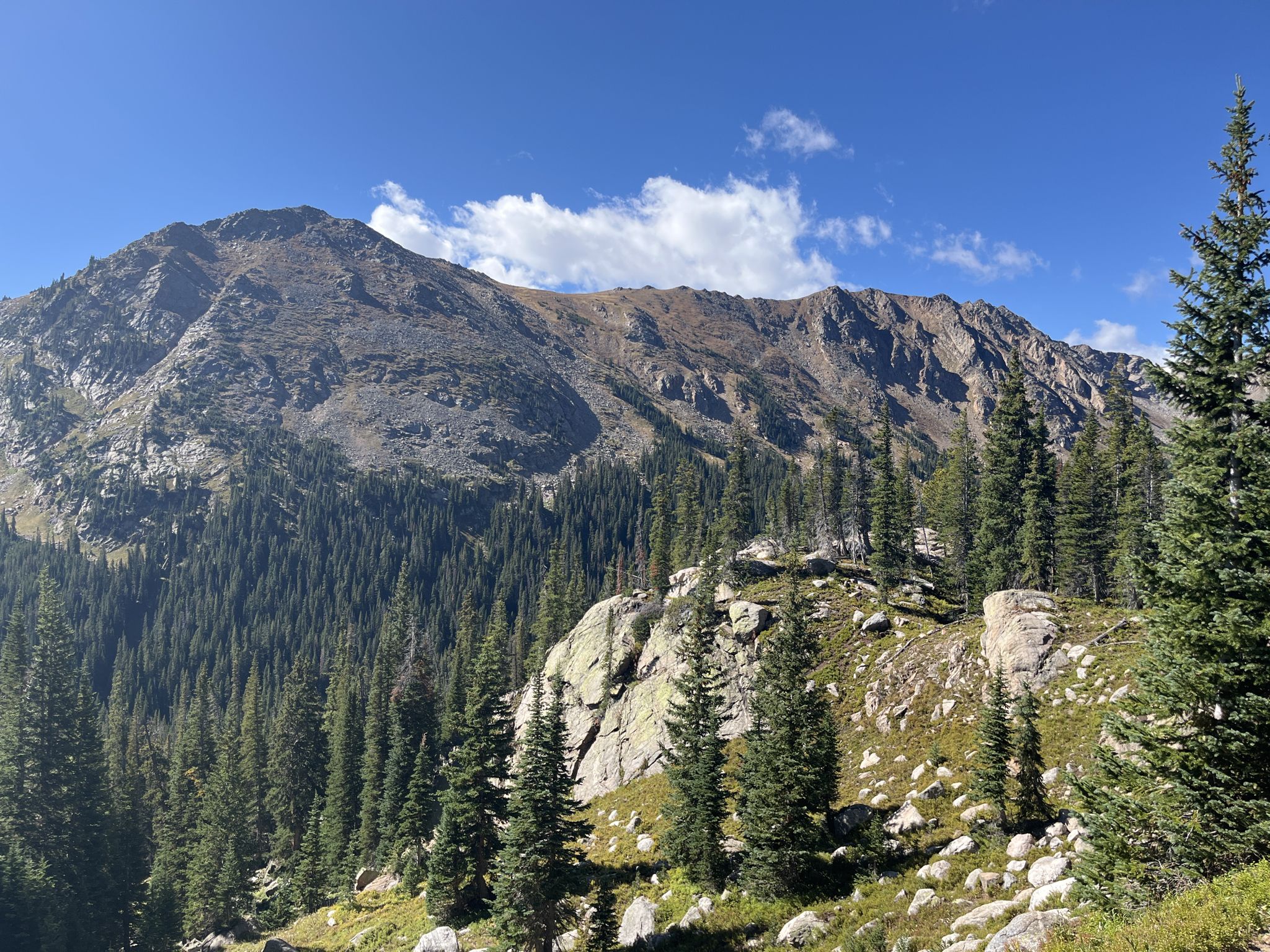 Sunny mountain landscape with dense pine forests and rocky slopes under blue sky. - High Lonesome Loop
