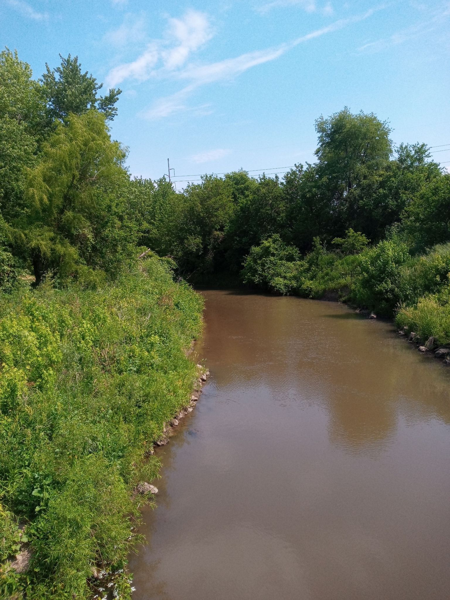 A muddy river flows between dense green foliage under a bright sky. - Tom Harkin Trailhead – Skills course loop from University Heights