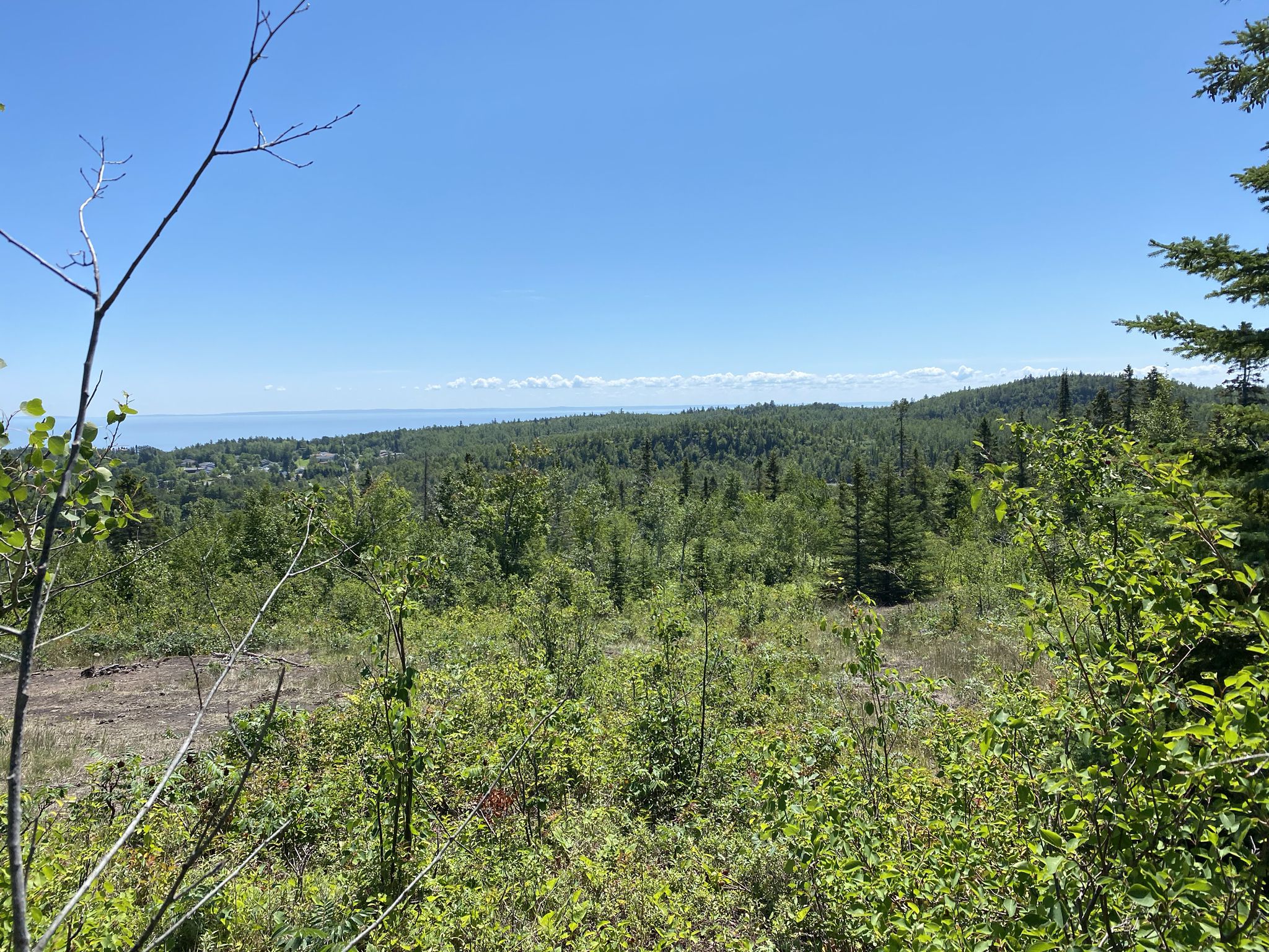 Expansive green forest leading to a distant blue body of water under clear sky. - Elam Knob via Superior Hiking Trail