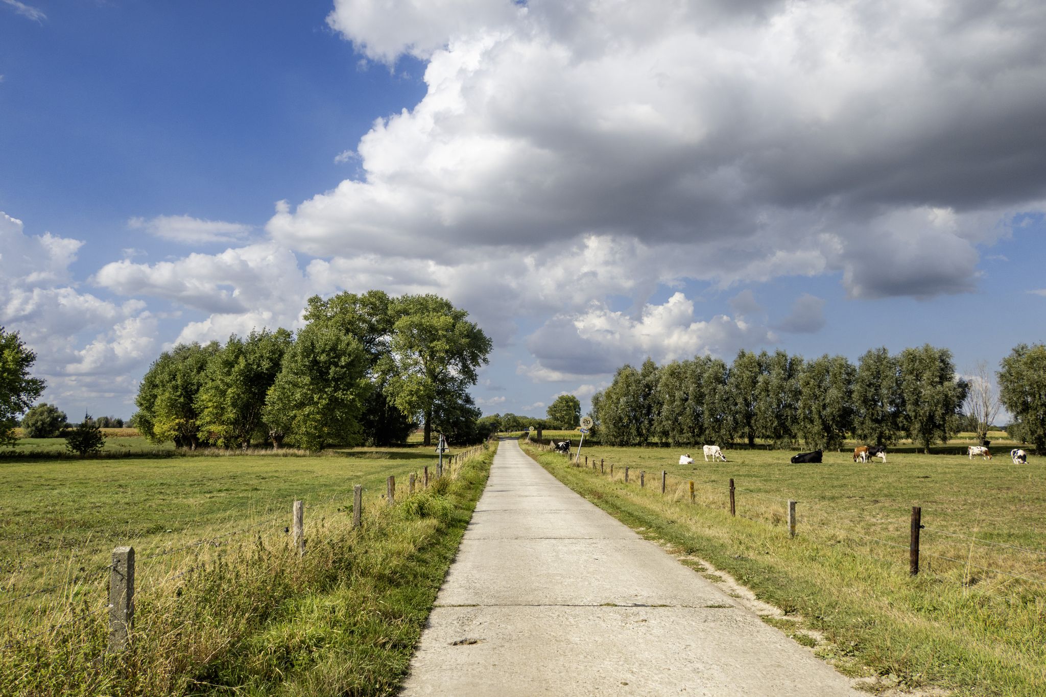 Naar het brugje over de Poekebeek