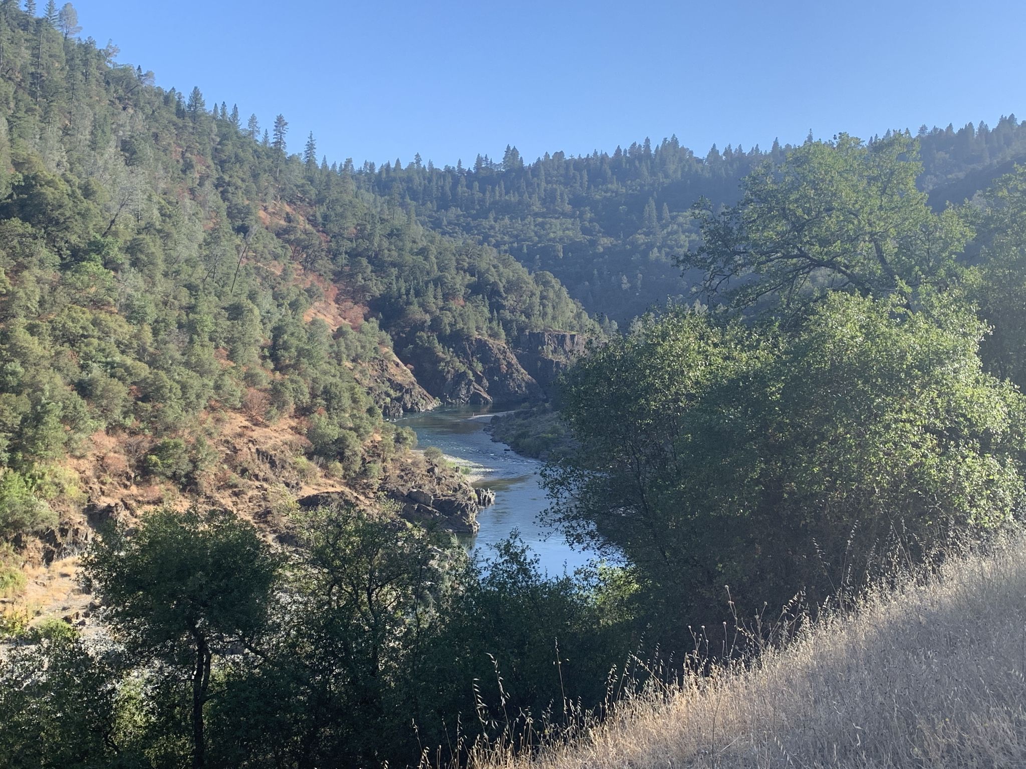 A wide river flows through a deep, sunlit, forested canyon. - Robie Point Loop via Western States Trail