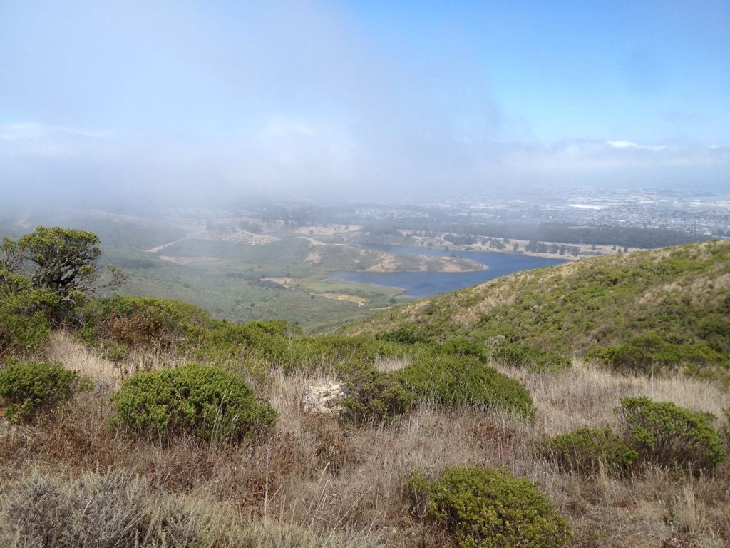 A foggy valley with a lake and distant city viewed from a hillside. - Bay Area Ridge Trail: San Francisco Peninsula Watershed