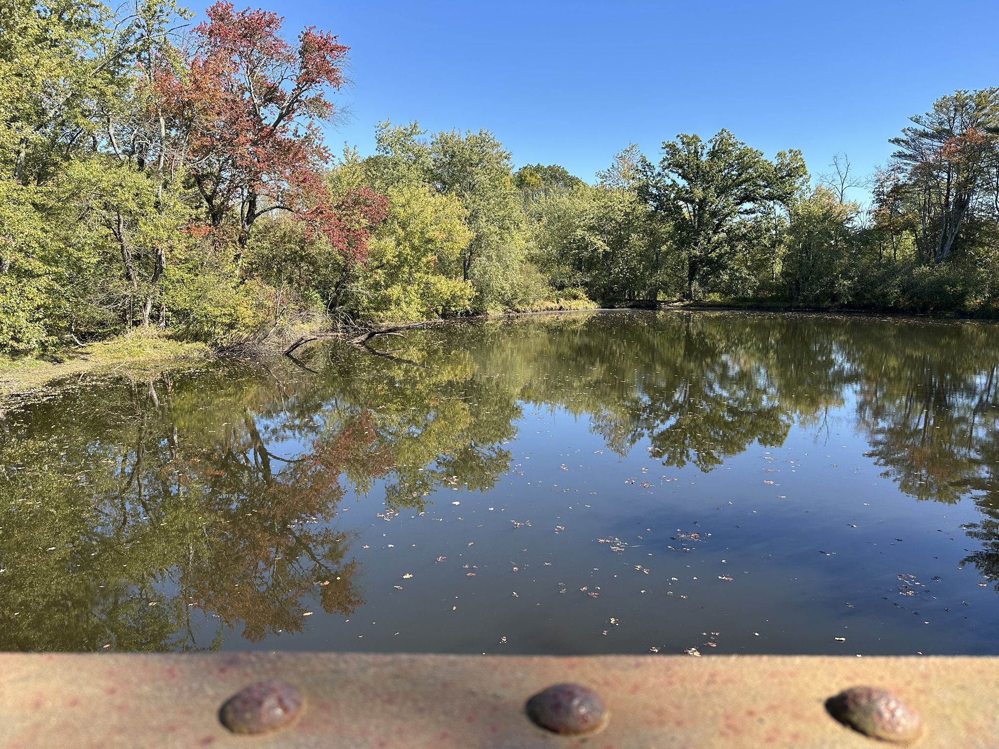 Calm pond reflecting colorful autumn and green trees under a clear blue sky. - Bridge – Topsfield Linear Common loop from Topsfield
