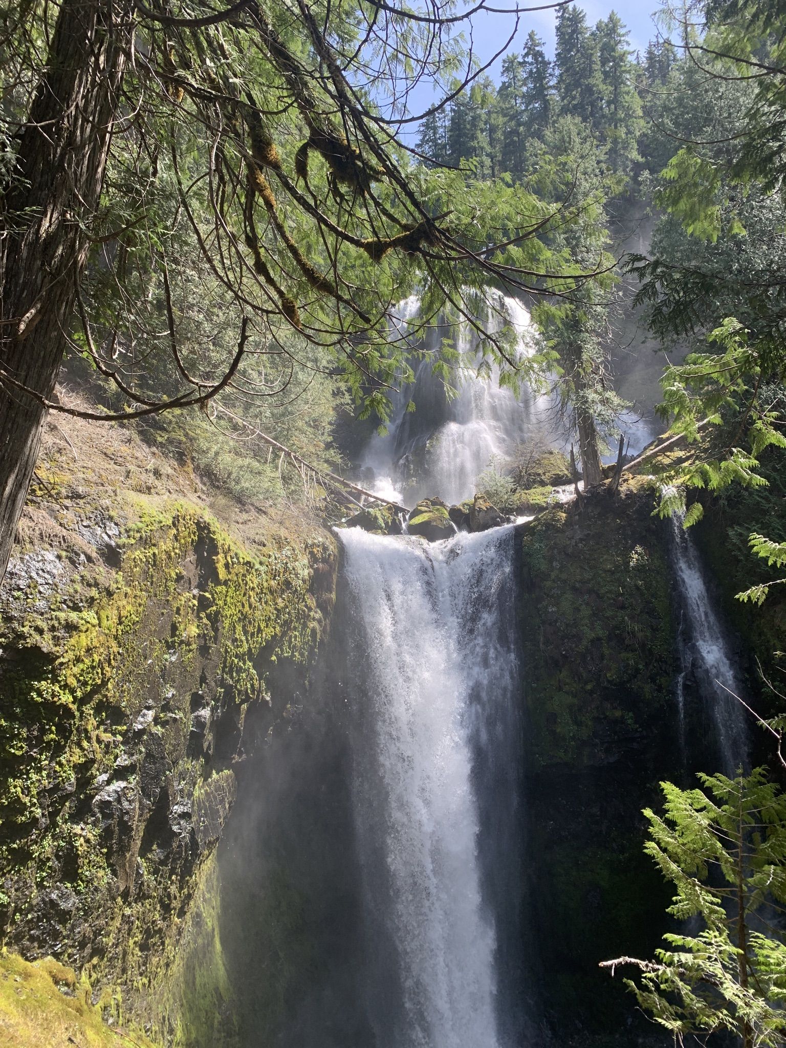 Tall waterfall cascades down a mossy cliff in a sunlit forest. - Lower Falls Creek Trail