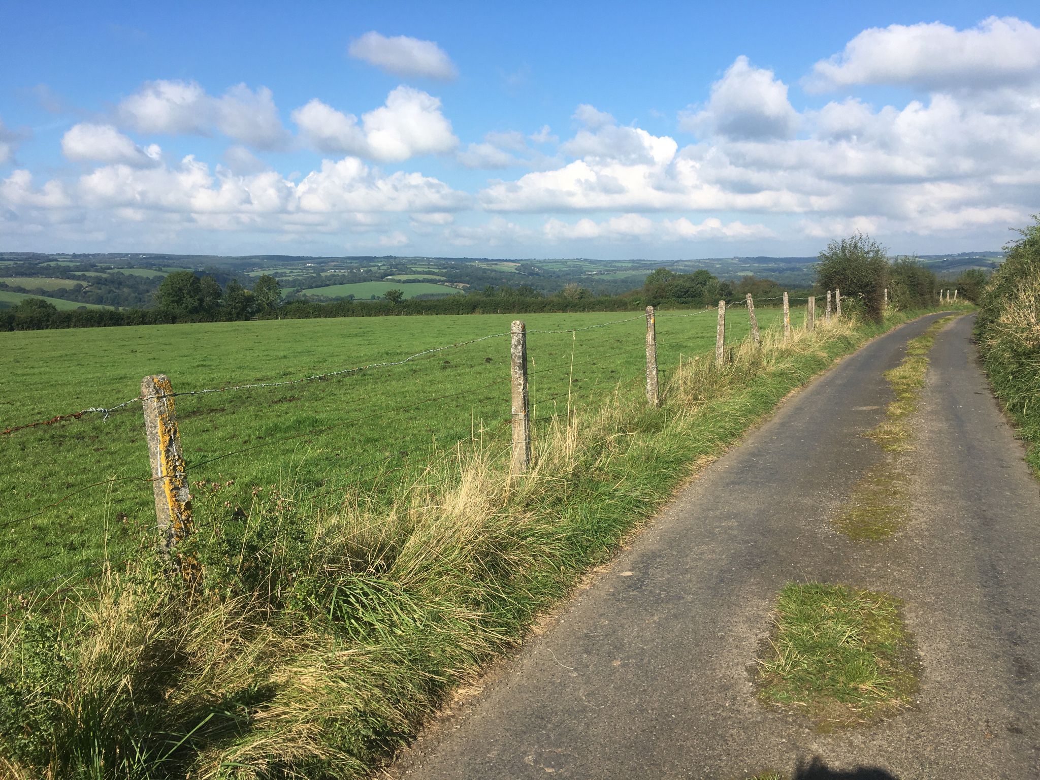 Looking back (NE)
