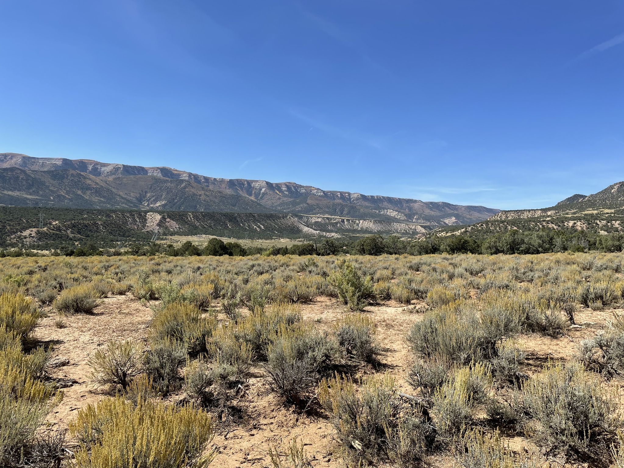 Vast desert landscape with brushy foreground, green valley, and distant mountains. - Rifle Arch Trail