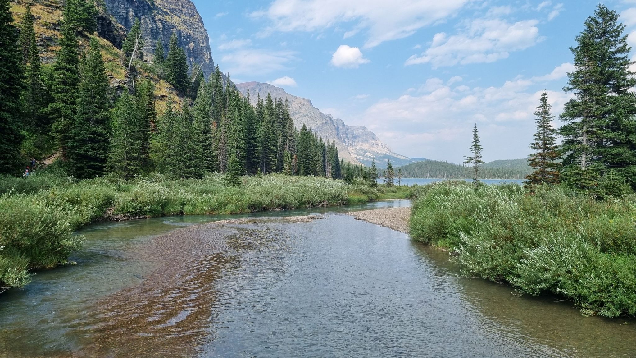 A clear river flows through a forest with mountains in the sunny distance. - Grinnell Glacier Trail