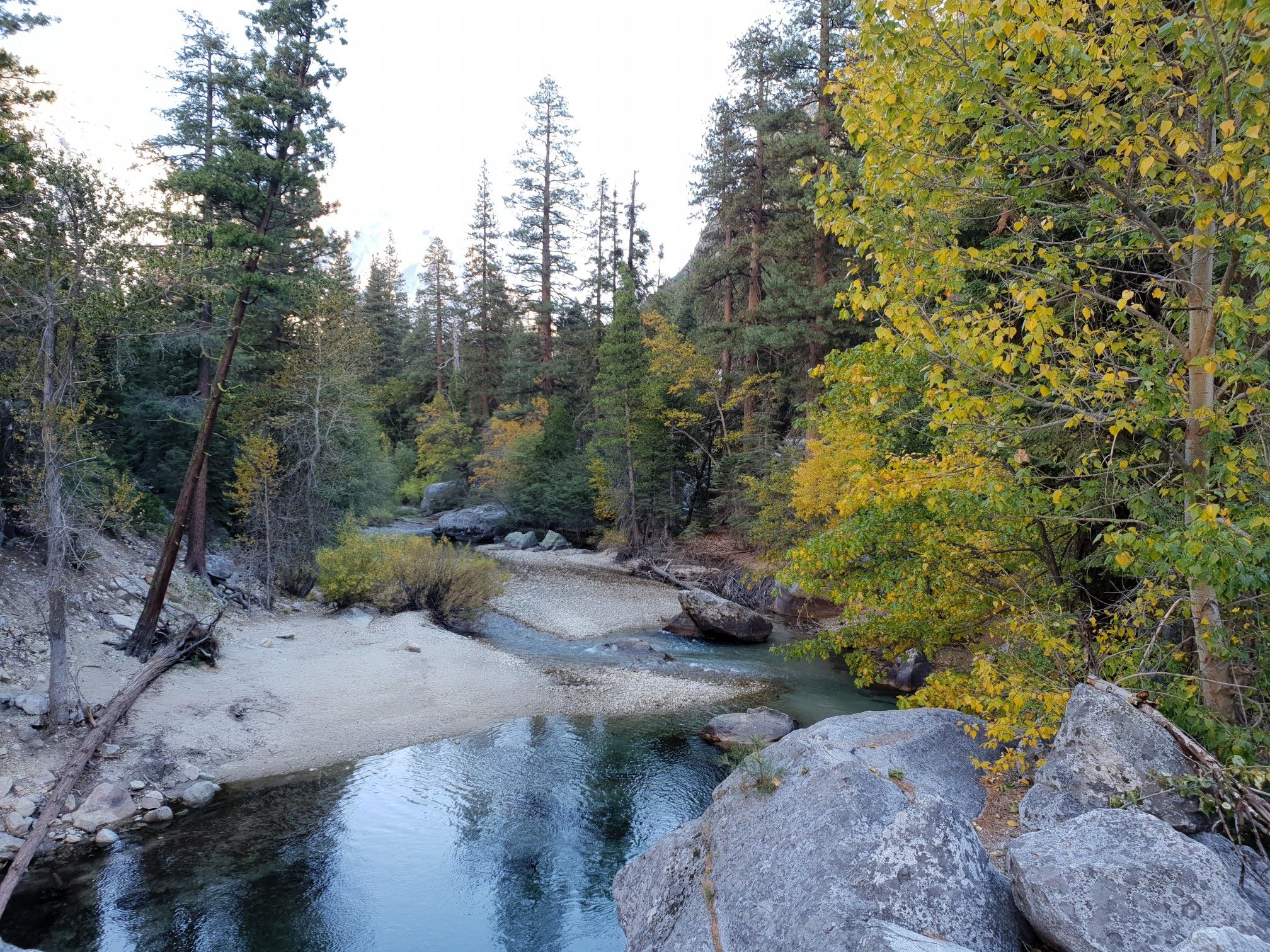 Clear stream flowing through a forest with autumn trees and rocks. - Kings Canyon National Scenic Byway