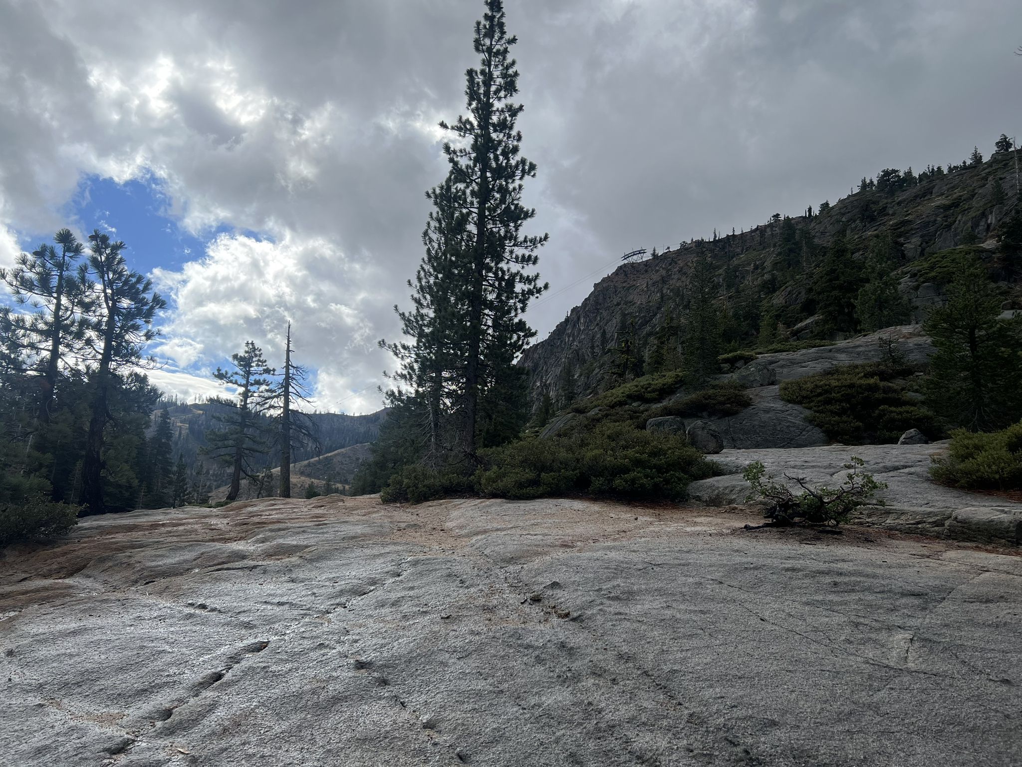 Wide rocky expanse with footprints, tall pine, and cloudy sky. - Shirley Canyon Trail