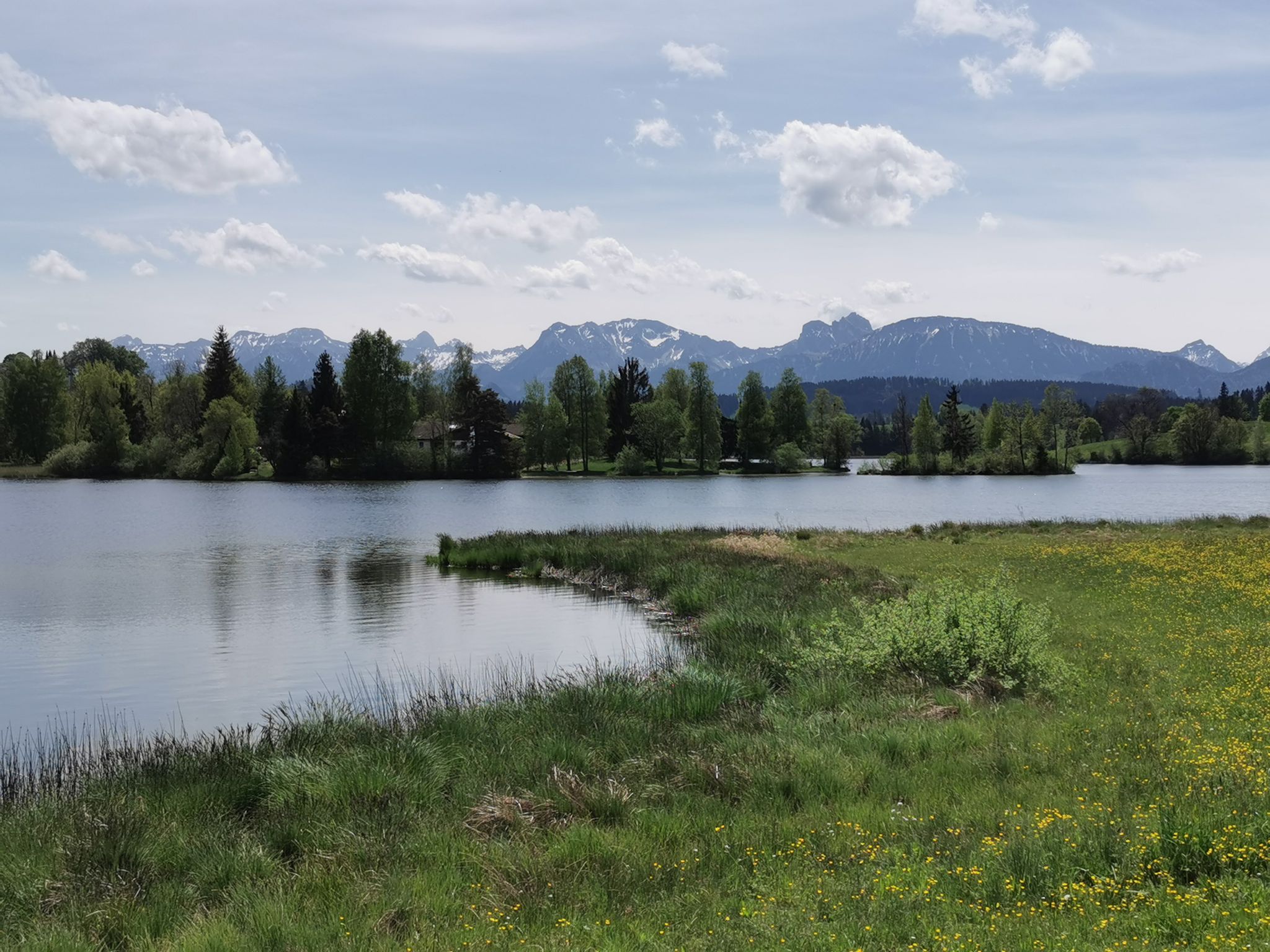 Blick über Schwaltenweiher