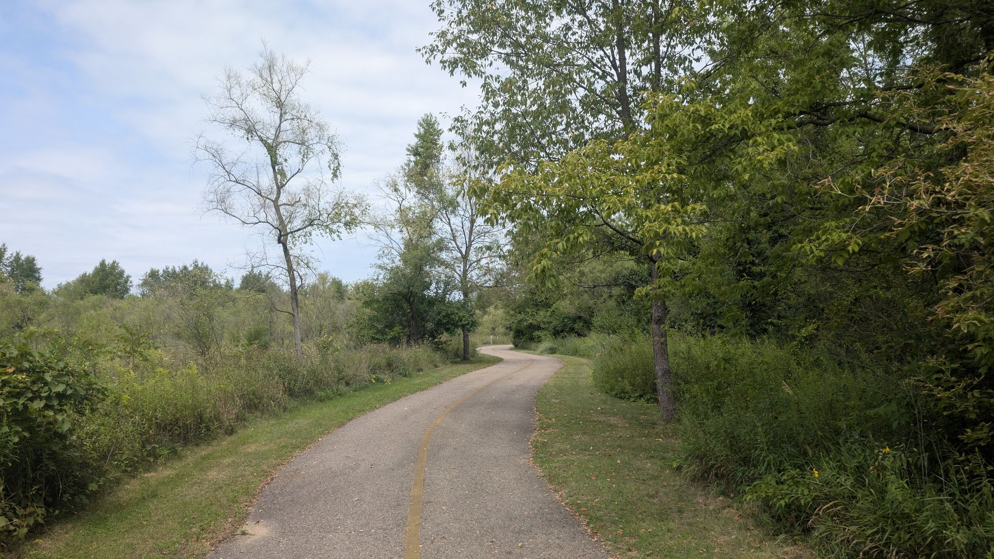 Paved path curving through green and brown foliage under a bright sky. - Kalamazoo River Valley Trail and Morrow Lake Loop