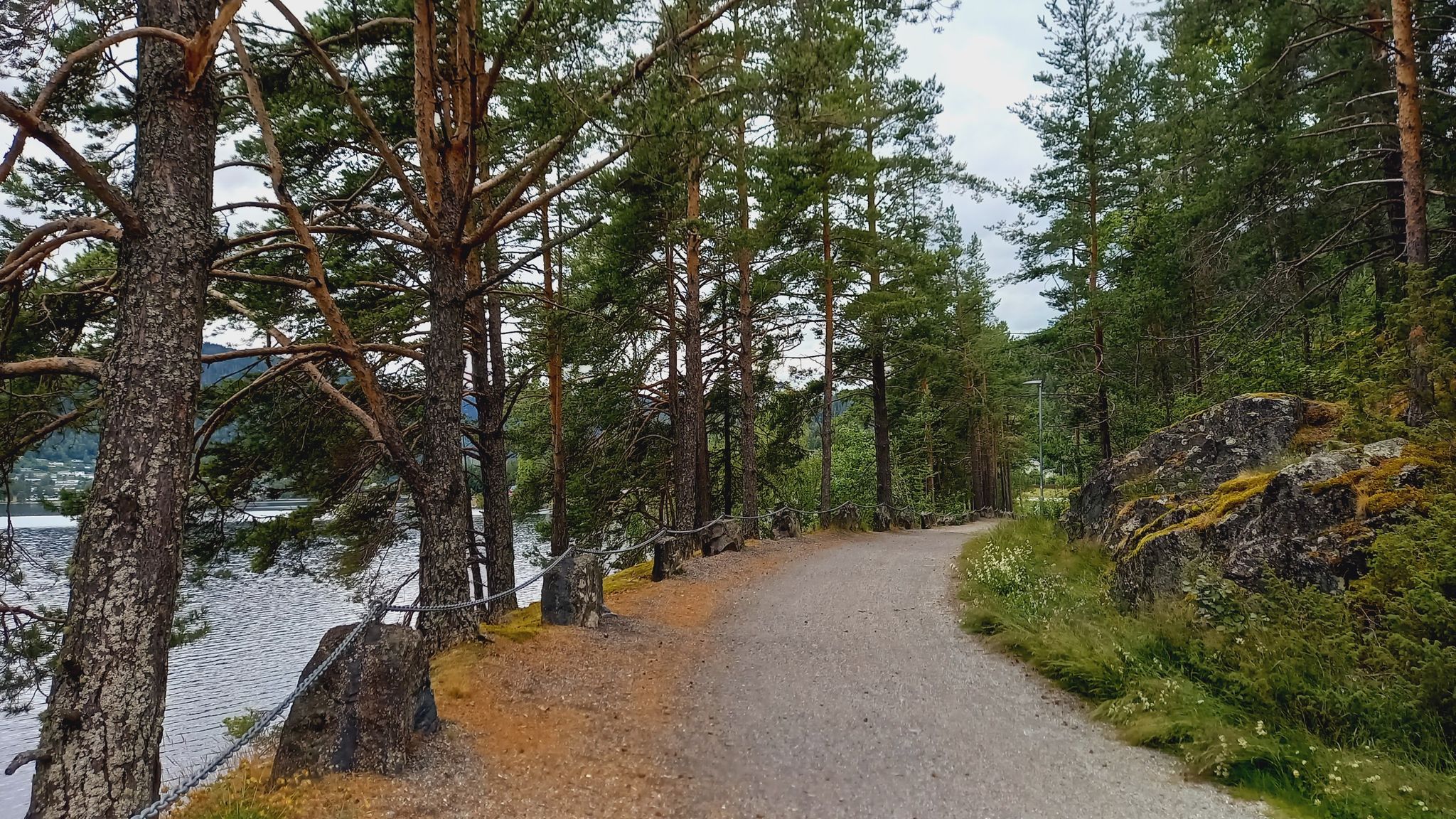 Radweg geht direkt am Wasser entlang