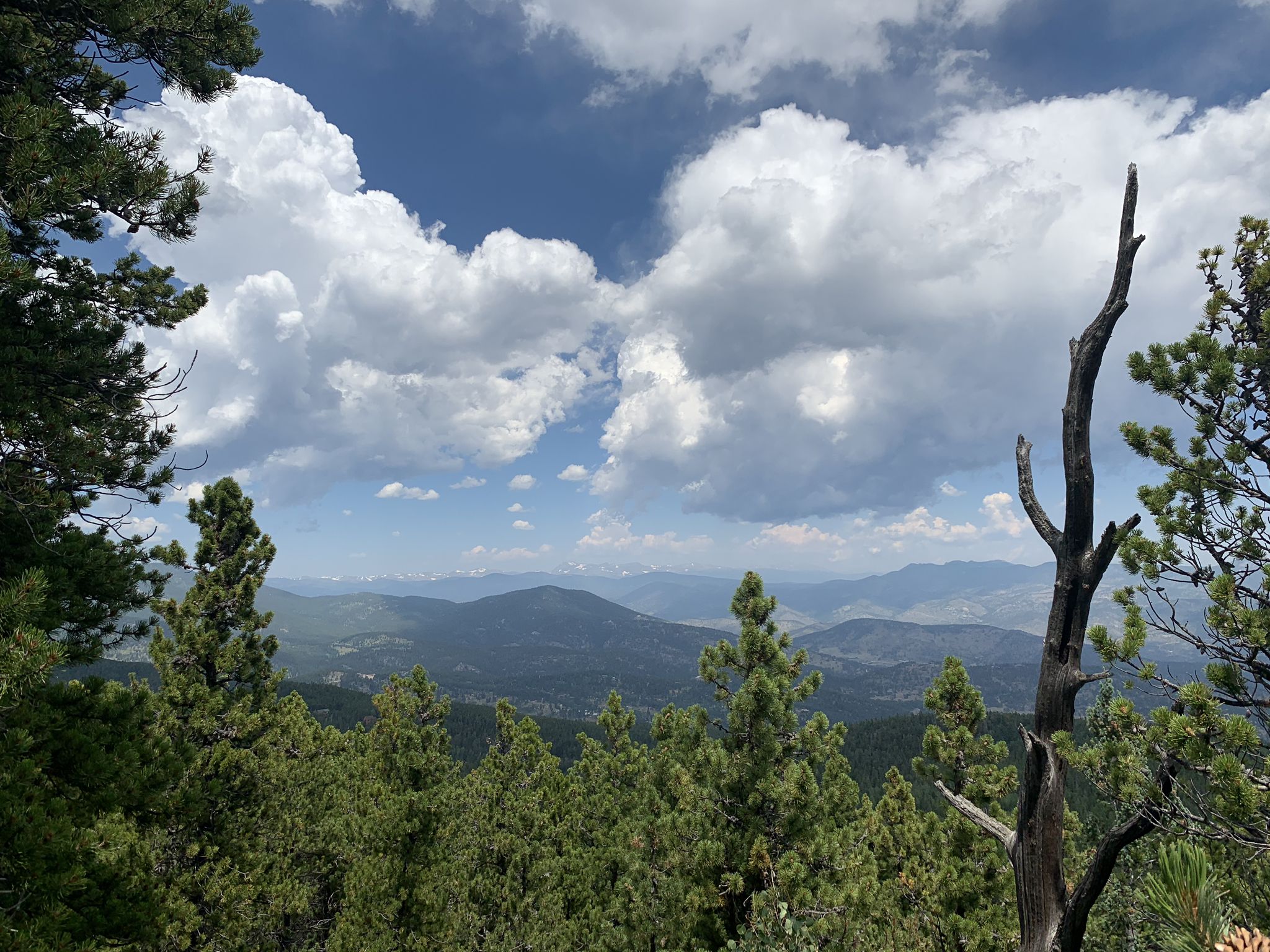Distant mountains and forests under a dramatic, cloudy sky, framed by trees. - Meadow View Trail – Bergen Peak loop from Evergreen