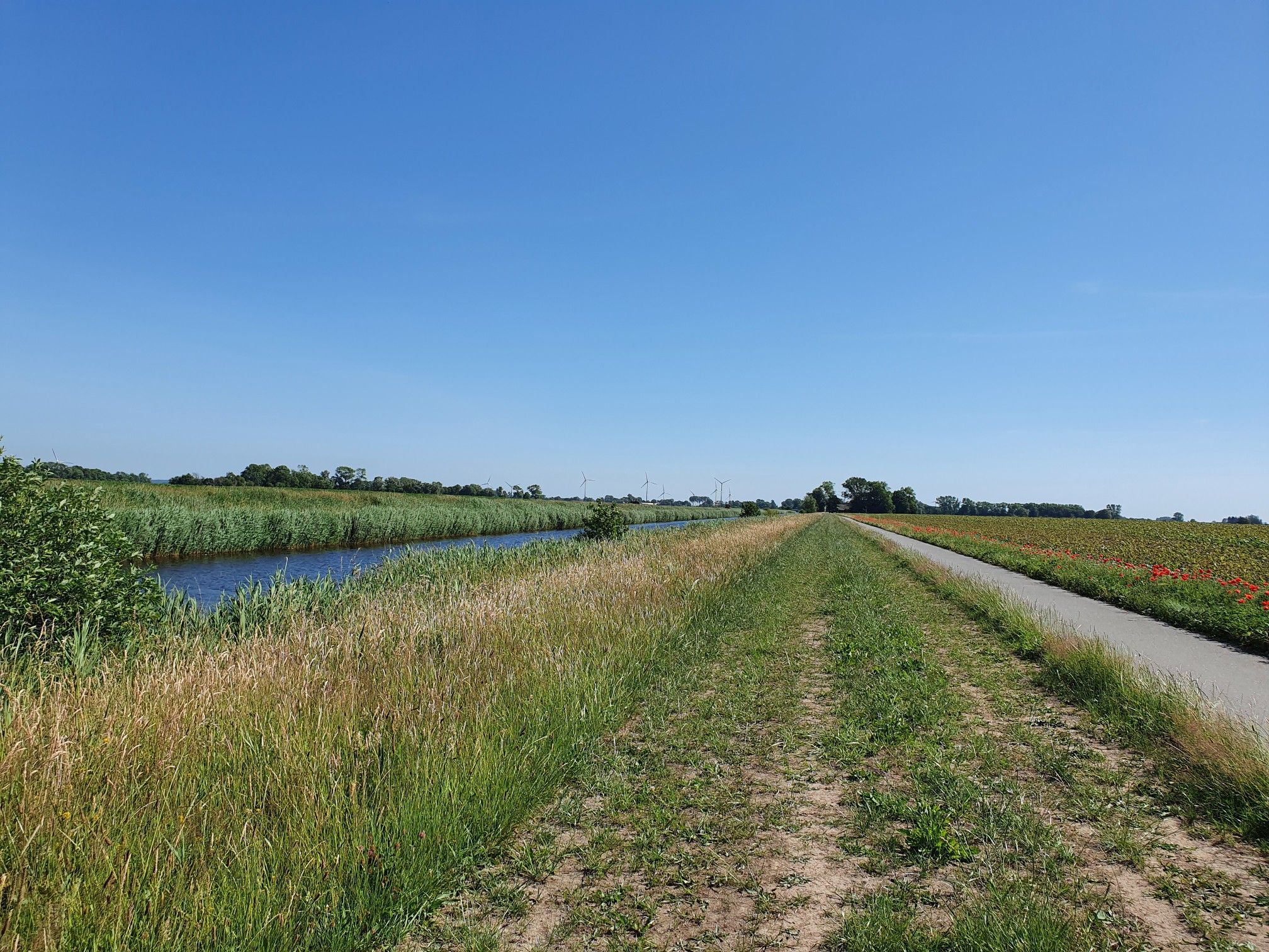 an der Medem