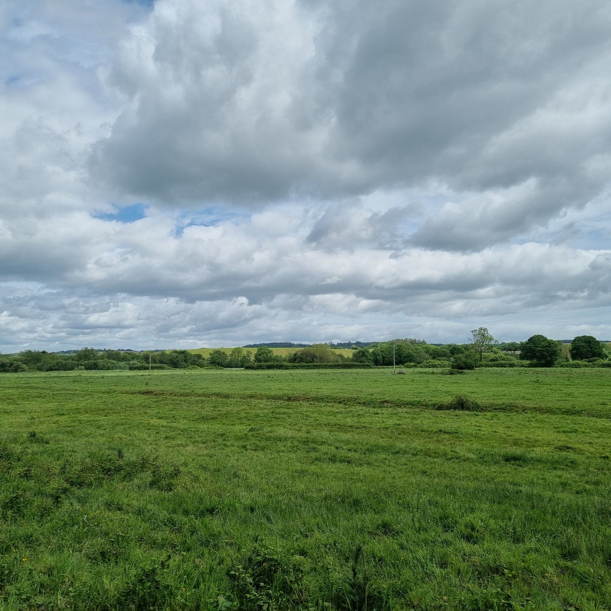 Devon countryside