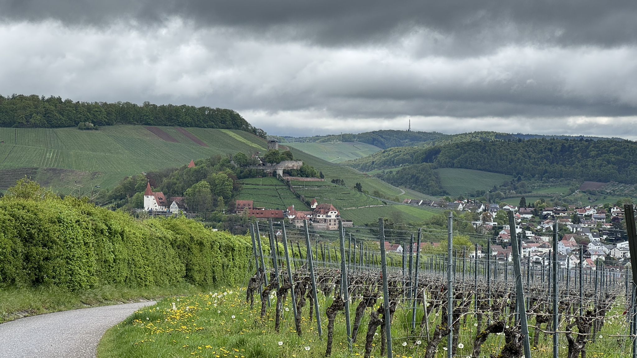 Blick auf die Burg Hohenbeilstein