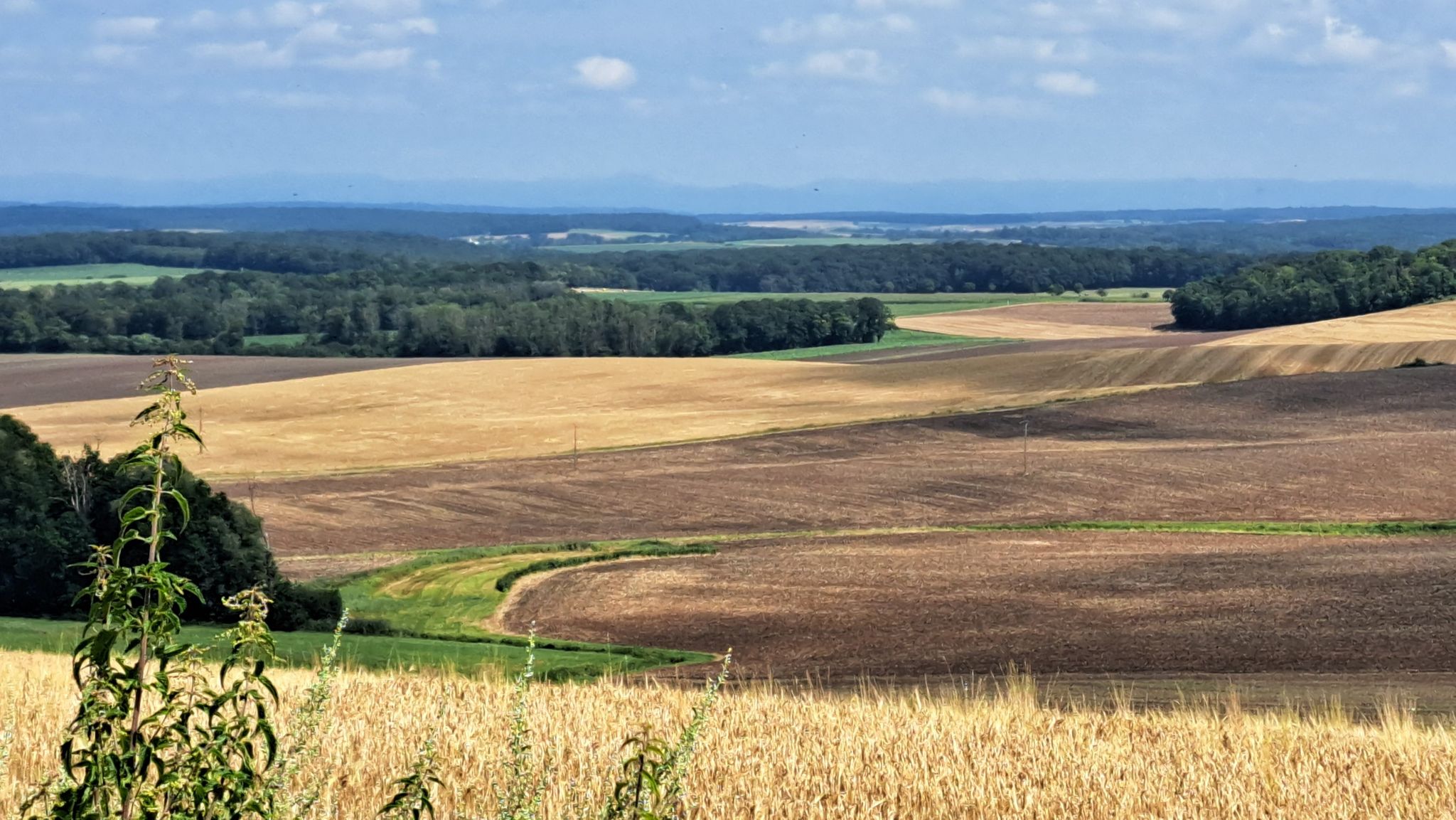 La ligne bleue des Vosges avant Moriviller. Par temps moins brumeux les éoliennes proches de Blâmont sont visibles.
