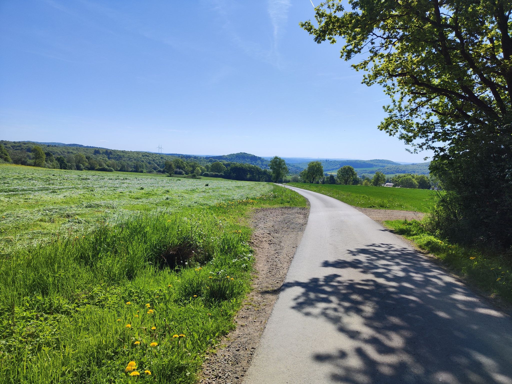 Blick auf Winkels
