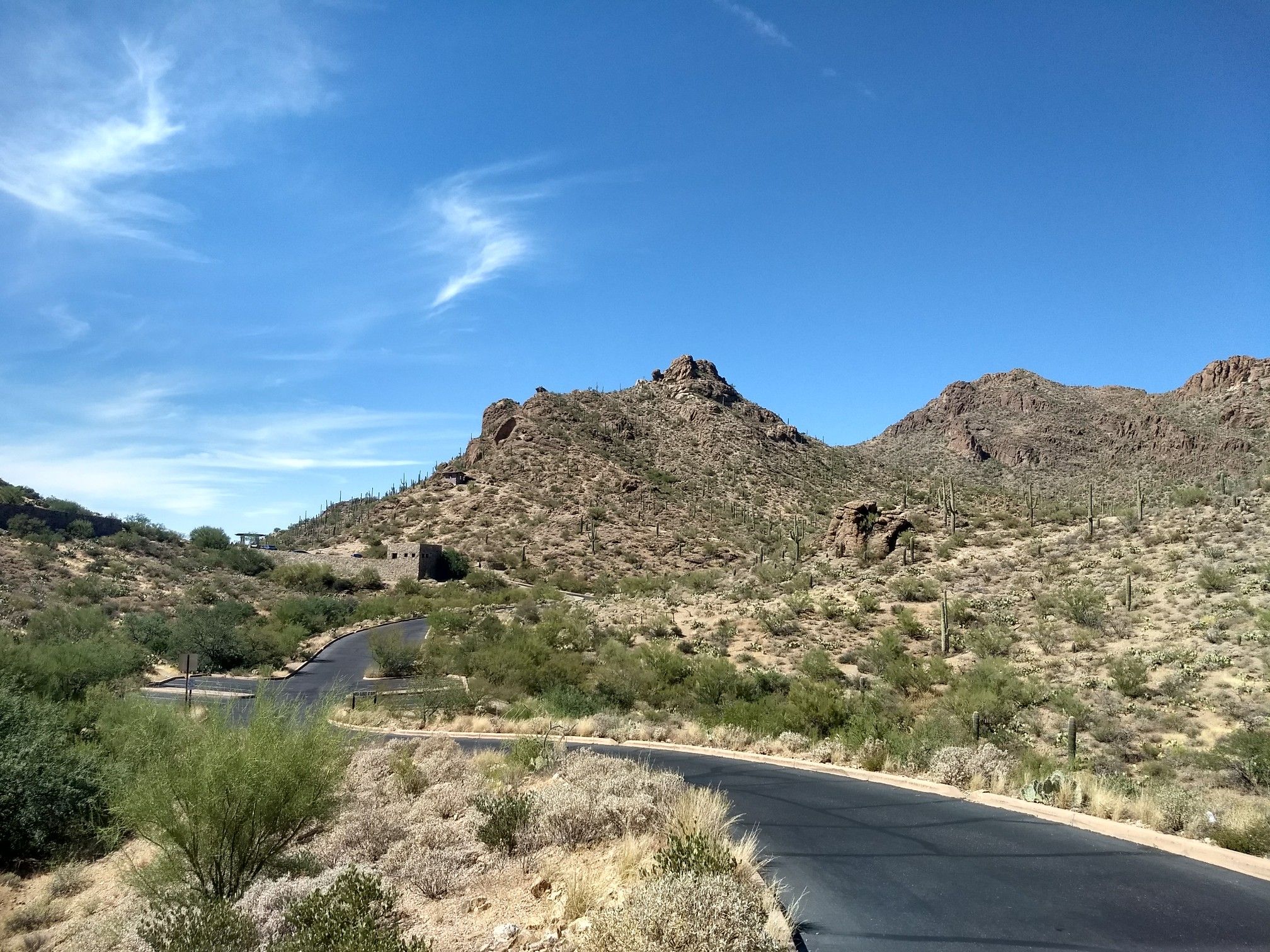 Winding paved road through desert landscape with rocky hills and sparse vegetation. - Mary Henderson Desert Center – Tucson Mountain Park West Gate loop from Desert Station Research Center