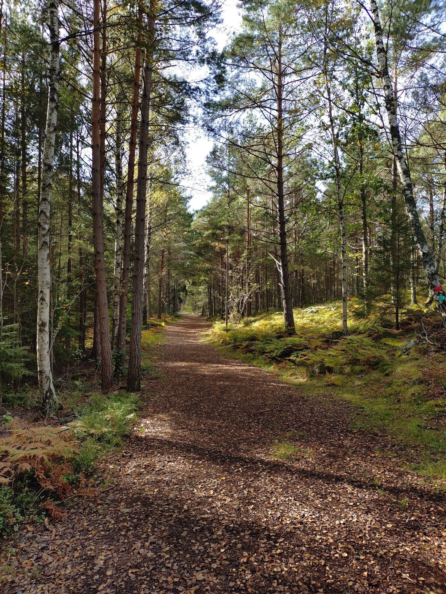 Wanderweg zum See