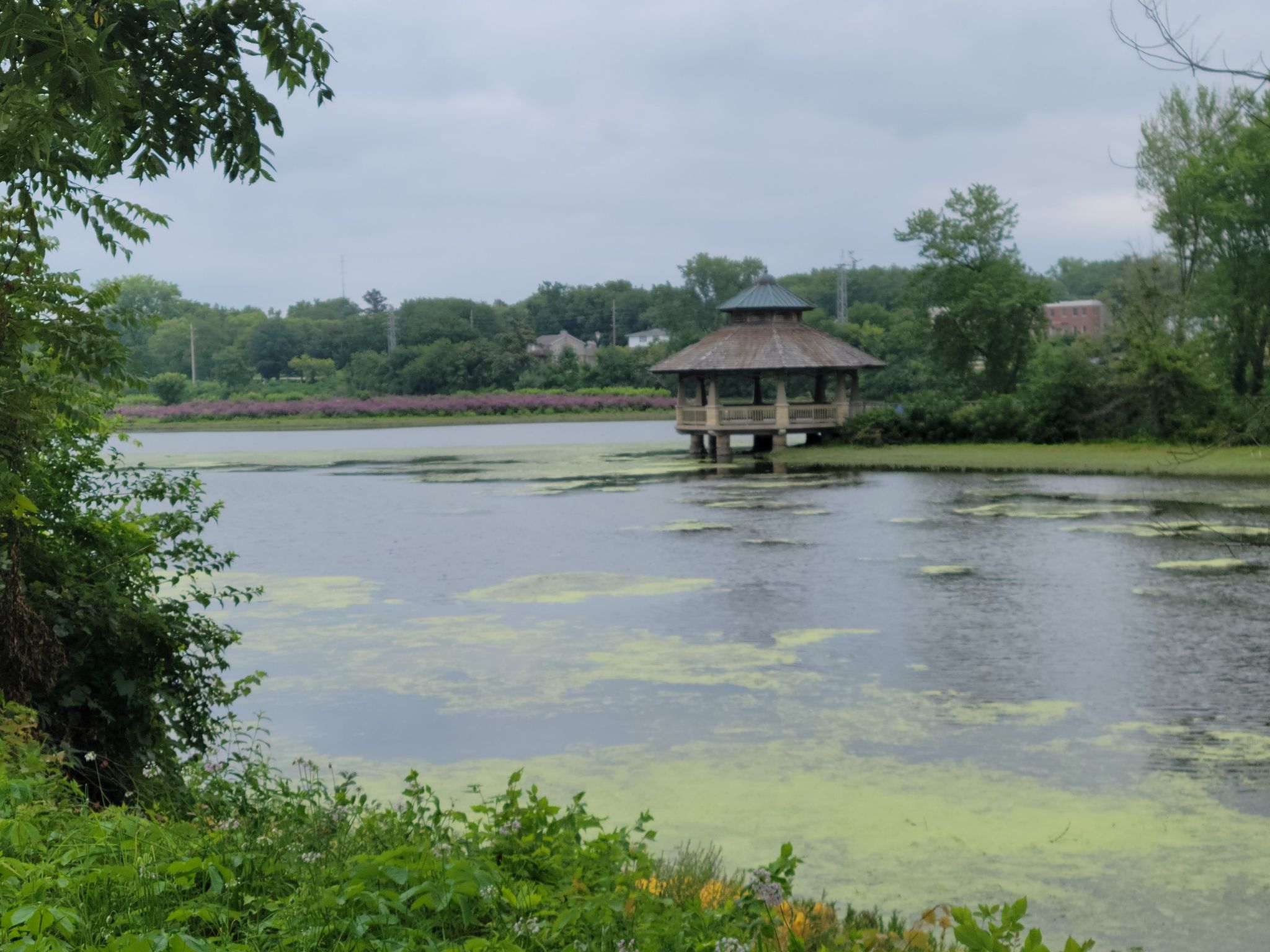 Lake with a wooden gazebo, green algae, and trees under a cloudy sky. - Batavia Depot Museum – "Children playing" statue loop from Batavia