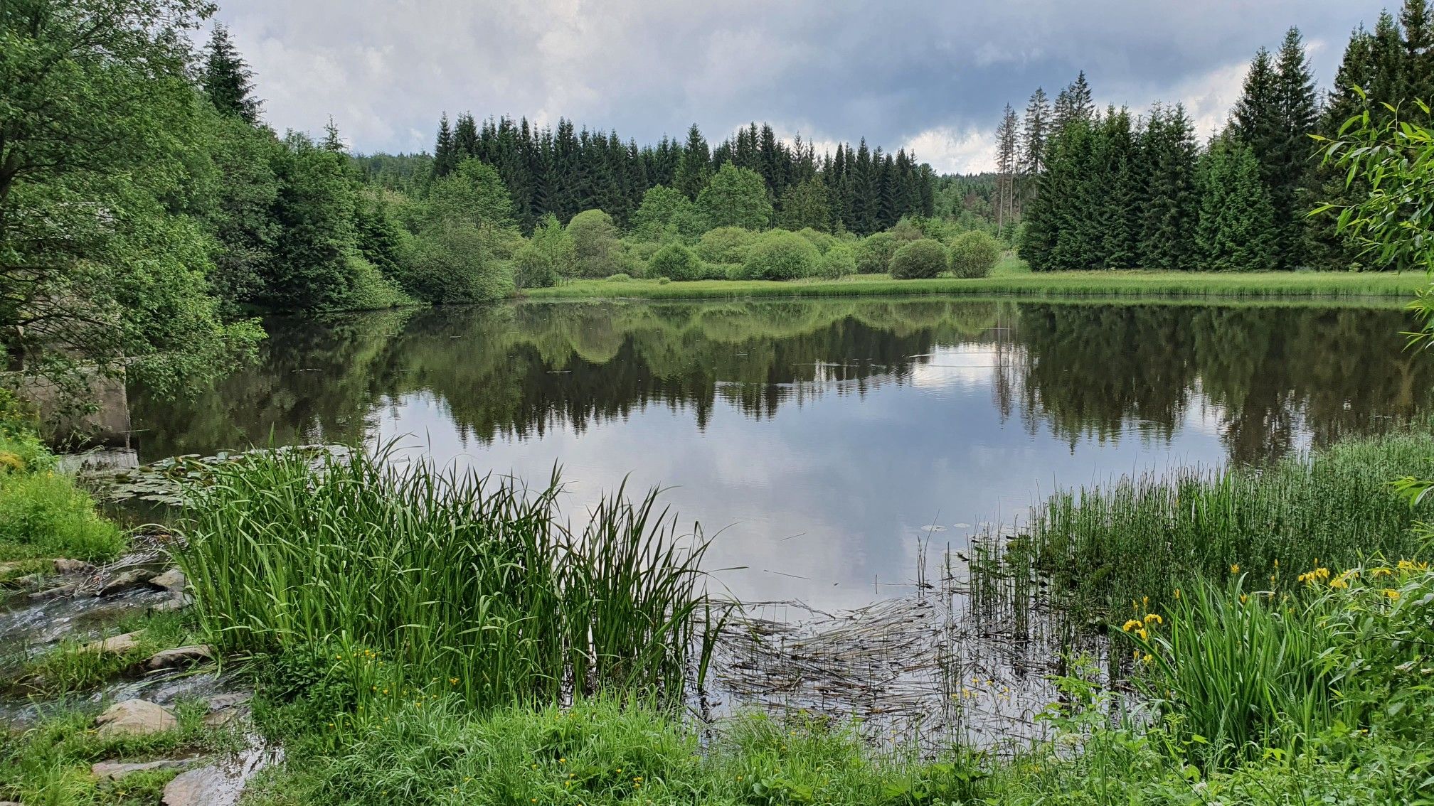 Schwarzer Teich