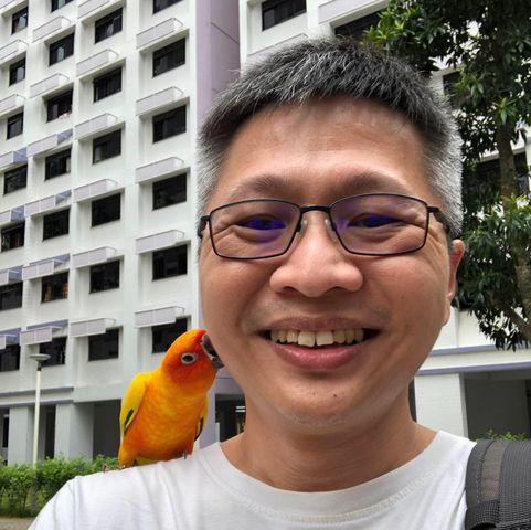 user avatar
