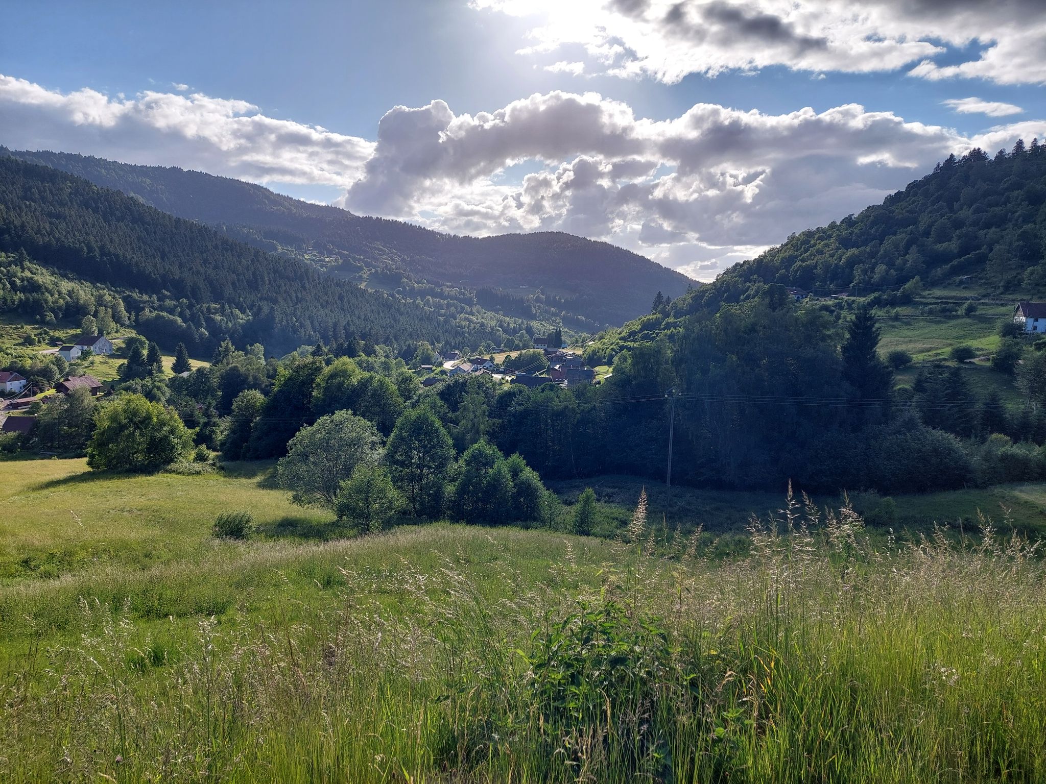 D43 Route d'Alsace: Abfahrt Richtung Ventron: Talblick auf Ventron