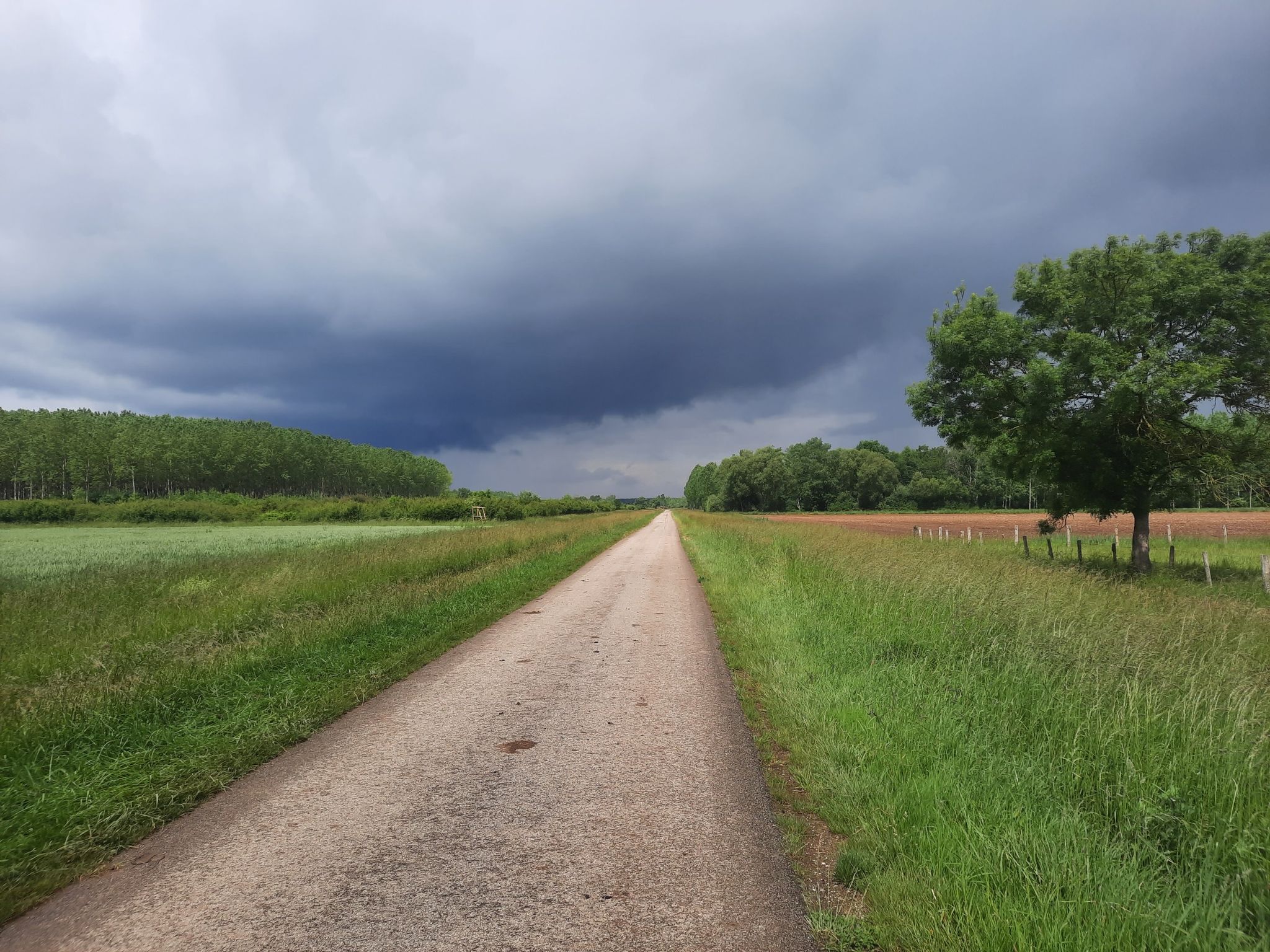 Schöner Weg