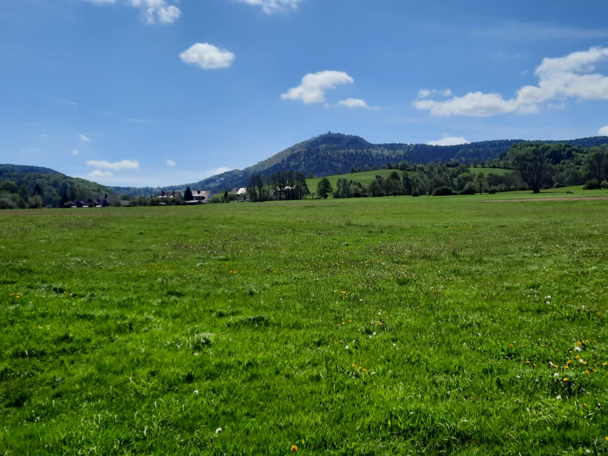 Lausche