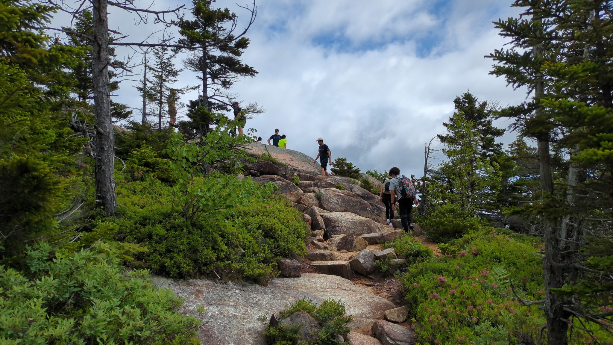 Hikers ascend a rocky, root-filled mountain trail under a cloudy sky. - Piper Trail