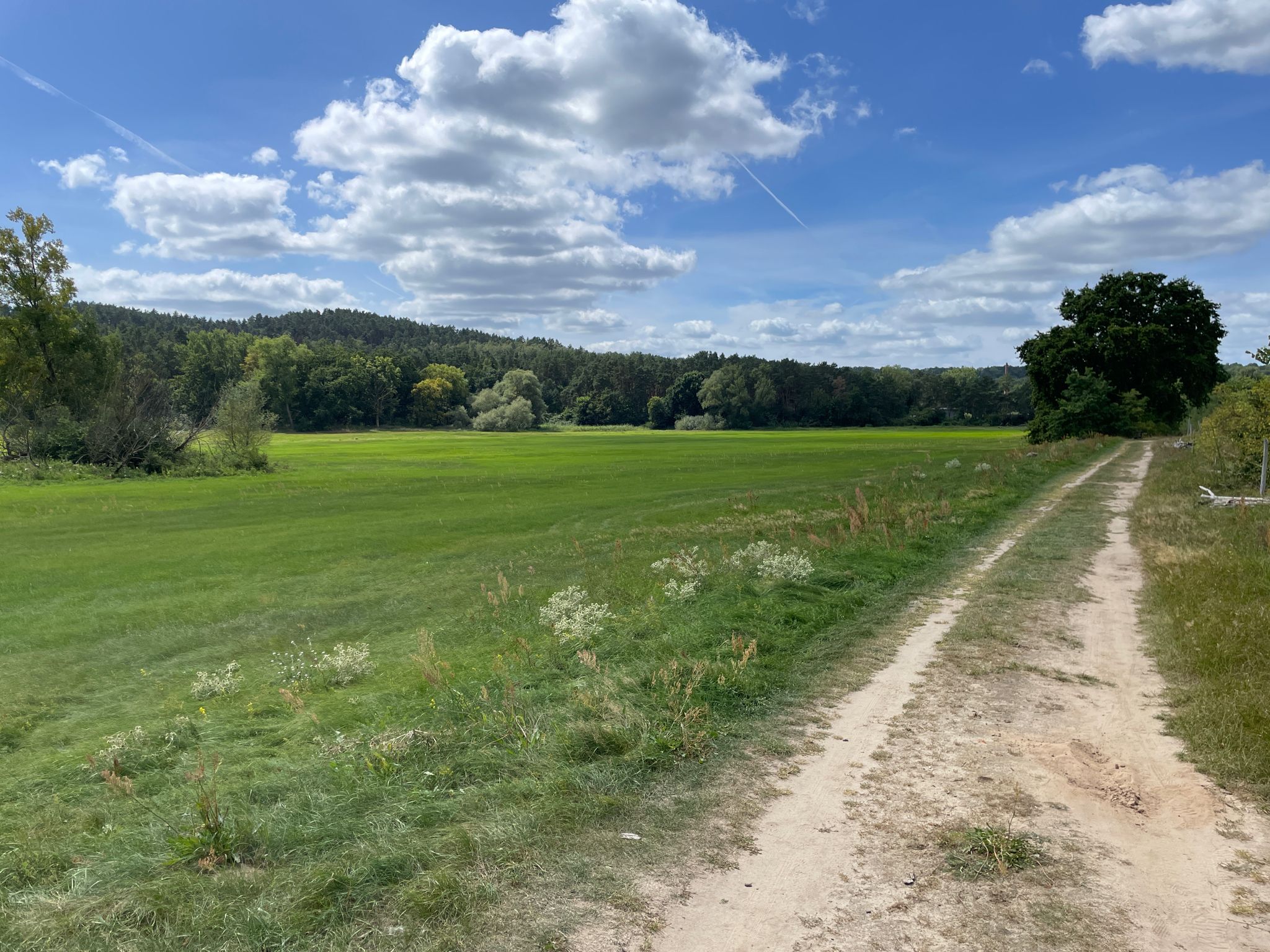Elbvorland
