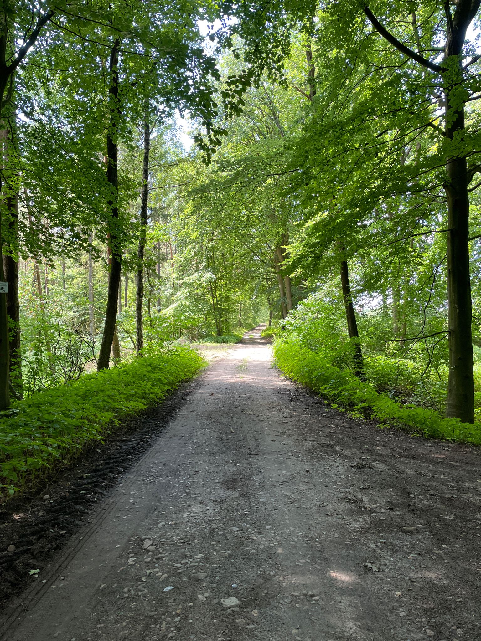 Bobenwald