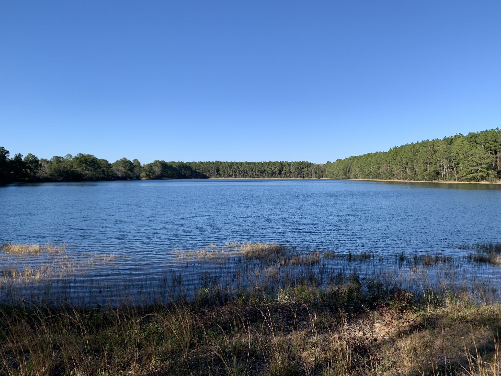 A wide, calm lake under a clear blue sky, bordered by green trees. - Lea Loop Trail