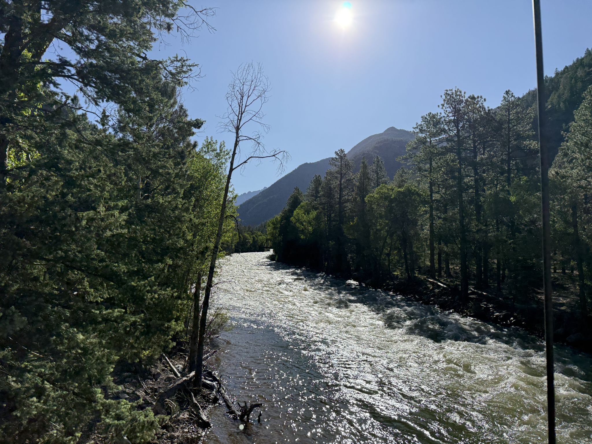 A wide, sparkling river flows through a sunny, tree-lined mountain valley. - Sunlight Peak, Windom Peak, Mount Eolus via Animas River Trail