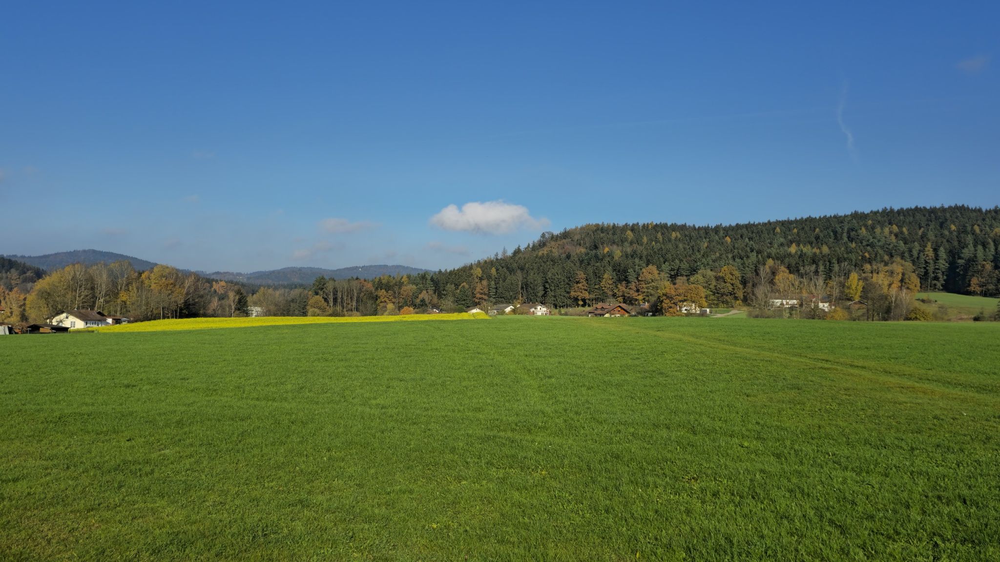 Aussicht bei Waffenbrunn