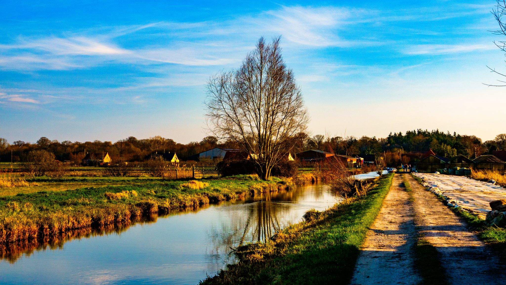 Marais de Booneghem