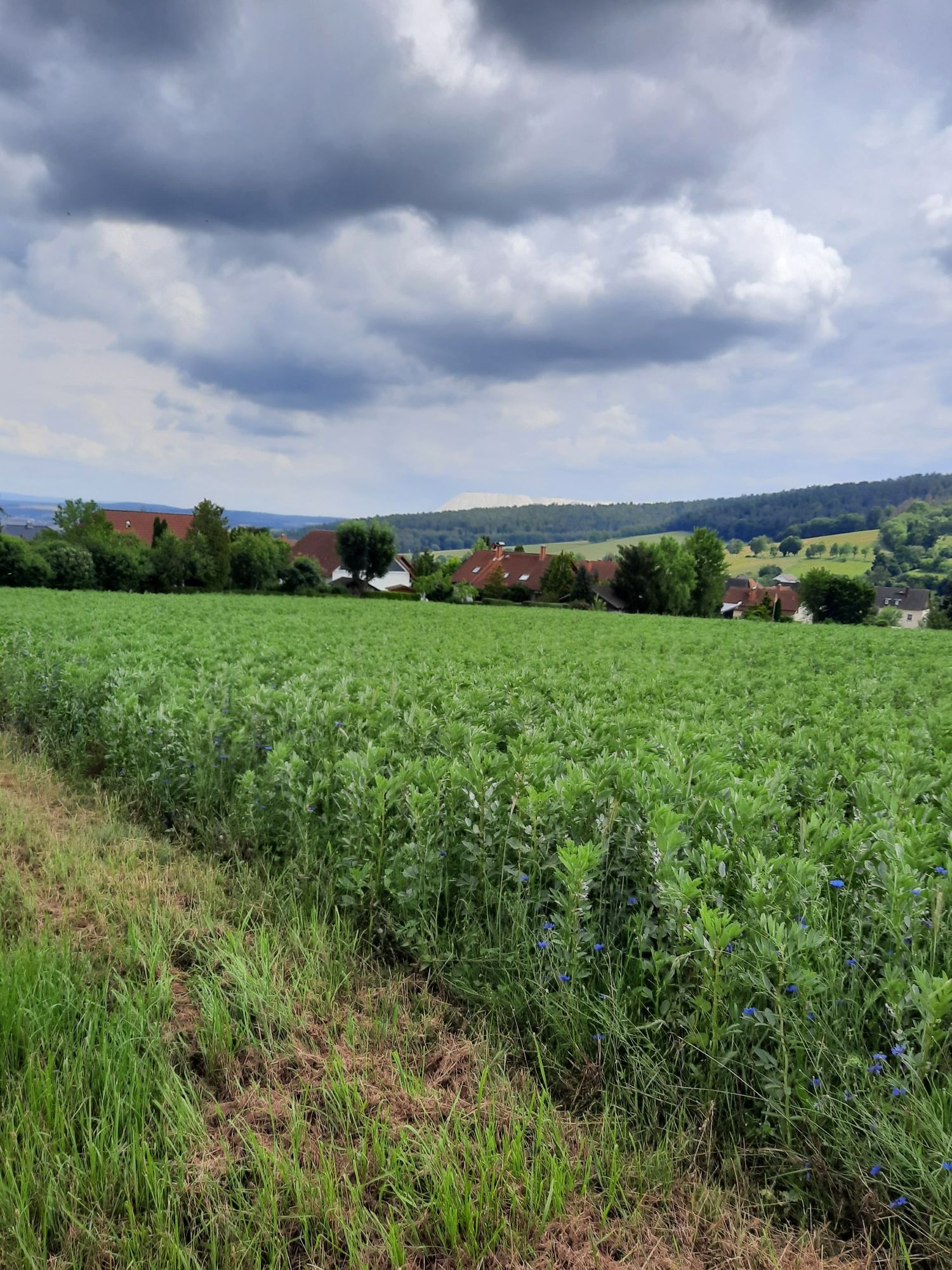 Wildeck-Hönebach