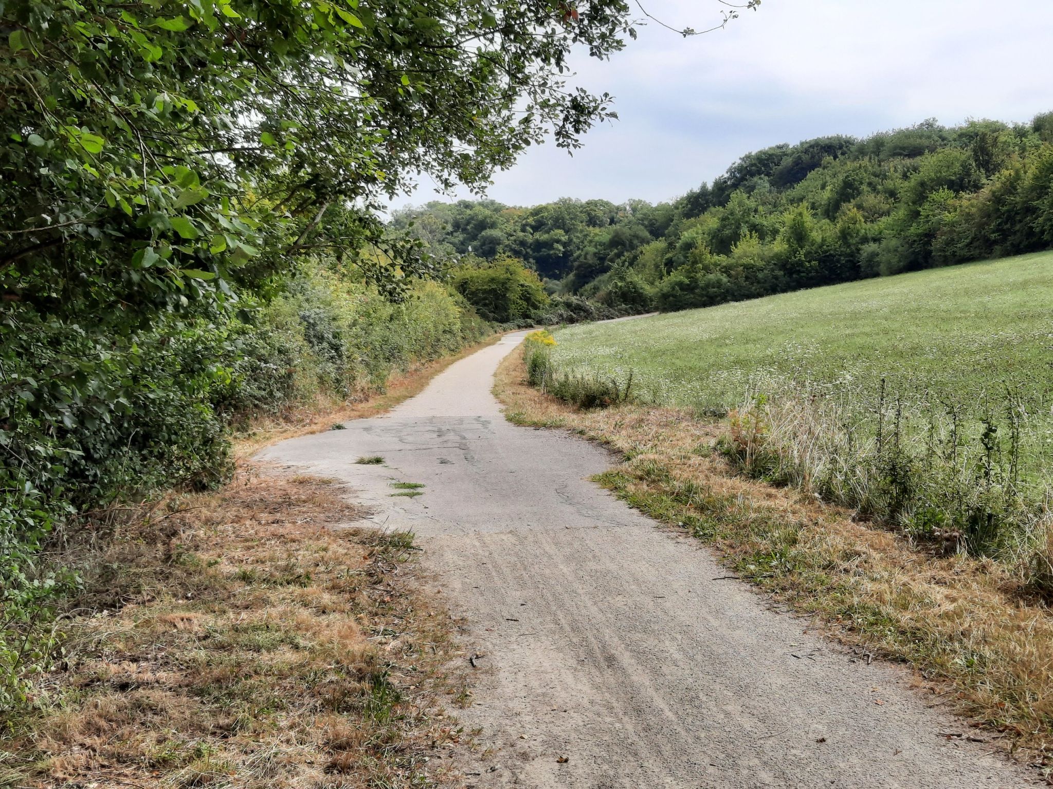 Eingang zum Römerweg