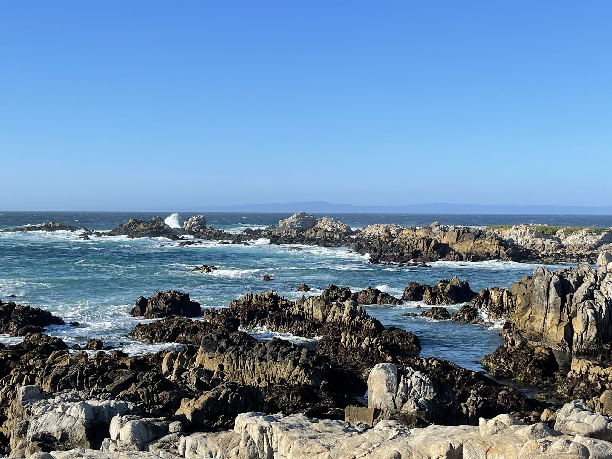 Sunny day over a rocky ocean coastline with waves crashing on jagged rocks. - Asilomar Gazebo – Point Pinos Lighthouse loop from Asilomar State Beach