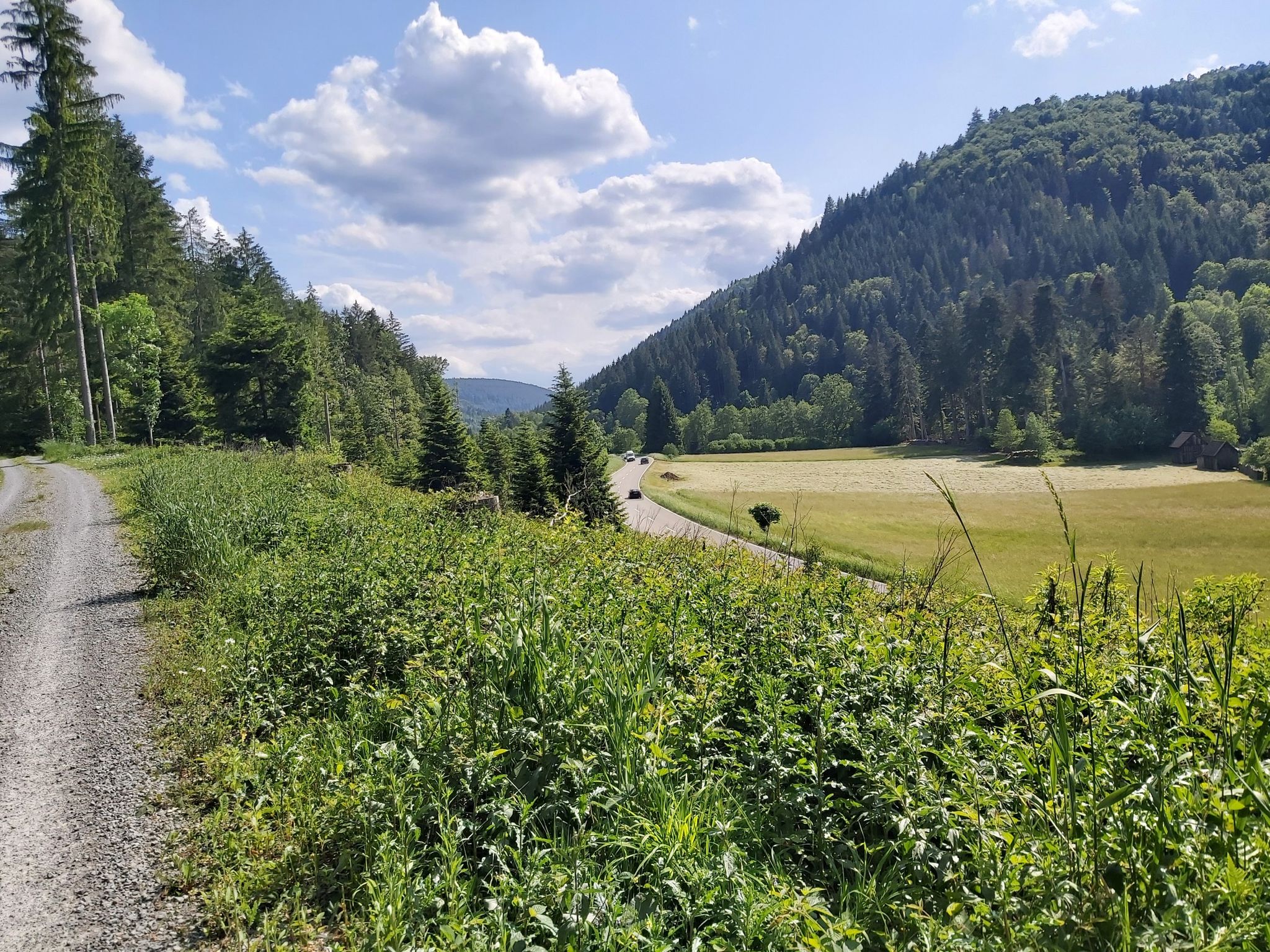 Blick ins Kleinenztal aufwärts