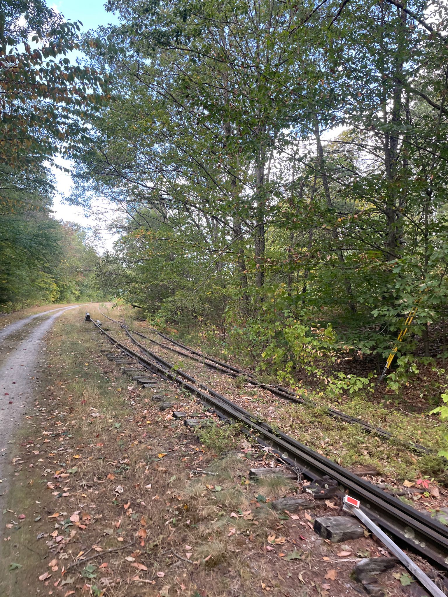 A dirt path next to old railroad tracks, winding through a green forest. - Blackwater Dam Flood Control Reservoir to Andover loop from Warner