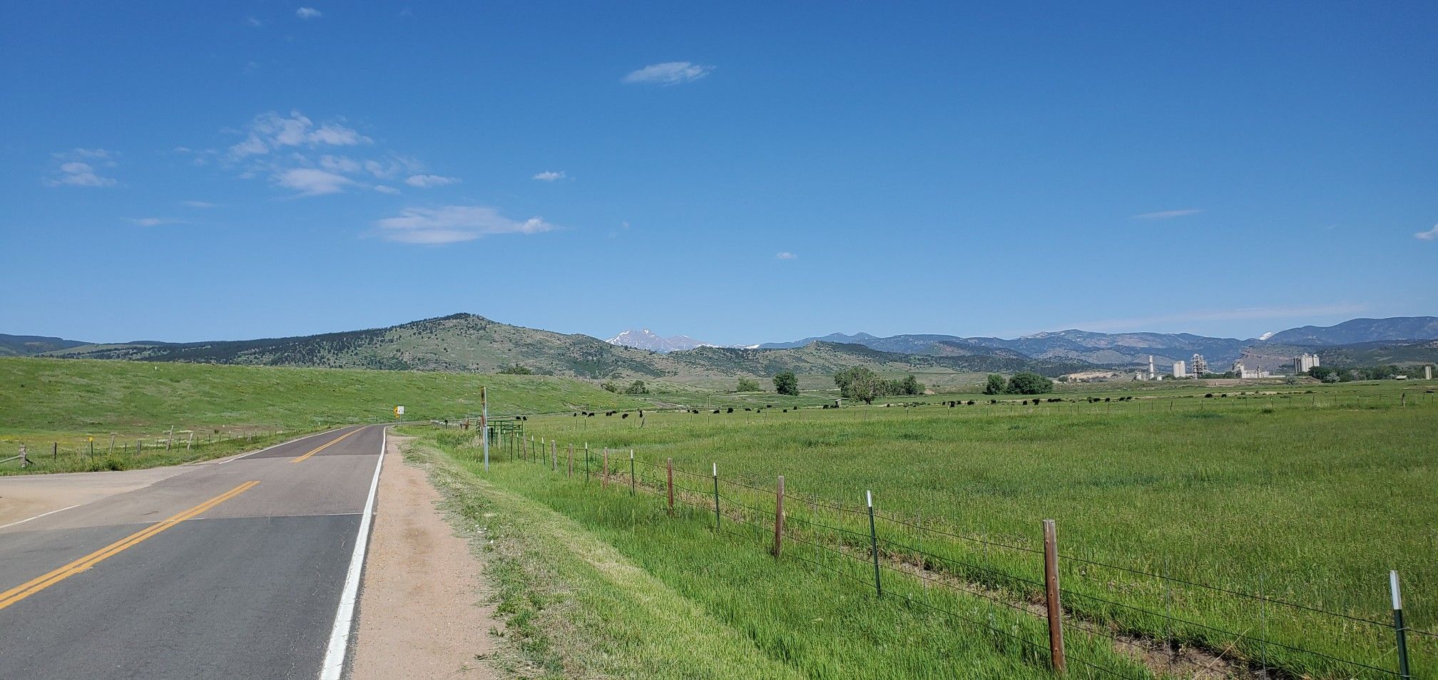 Paved road beside a vast green field with grazing cattle and distant mountains. - Hygiene and Nelson Road loop