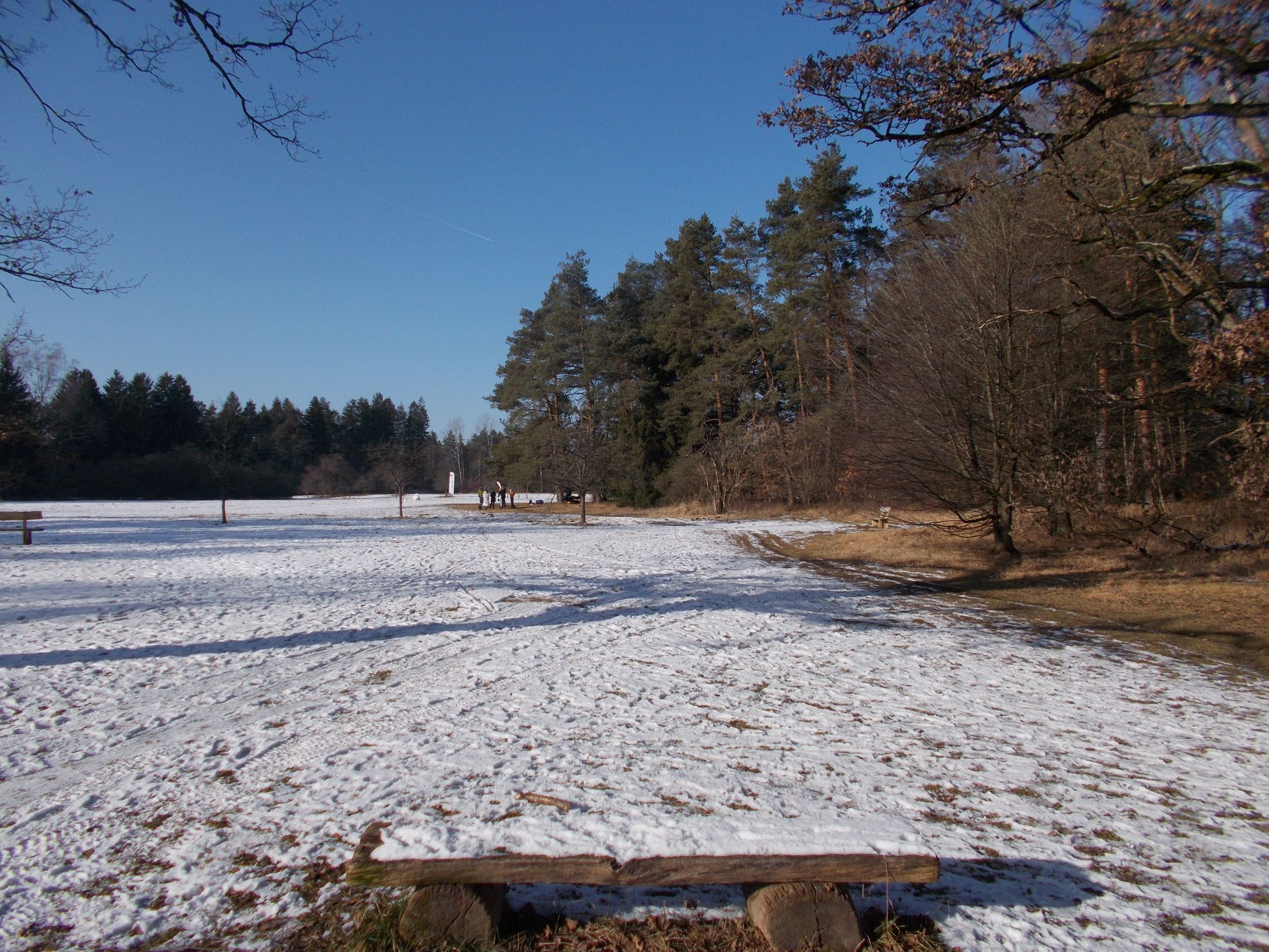 16er-Wiese im Winter